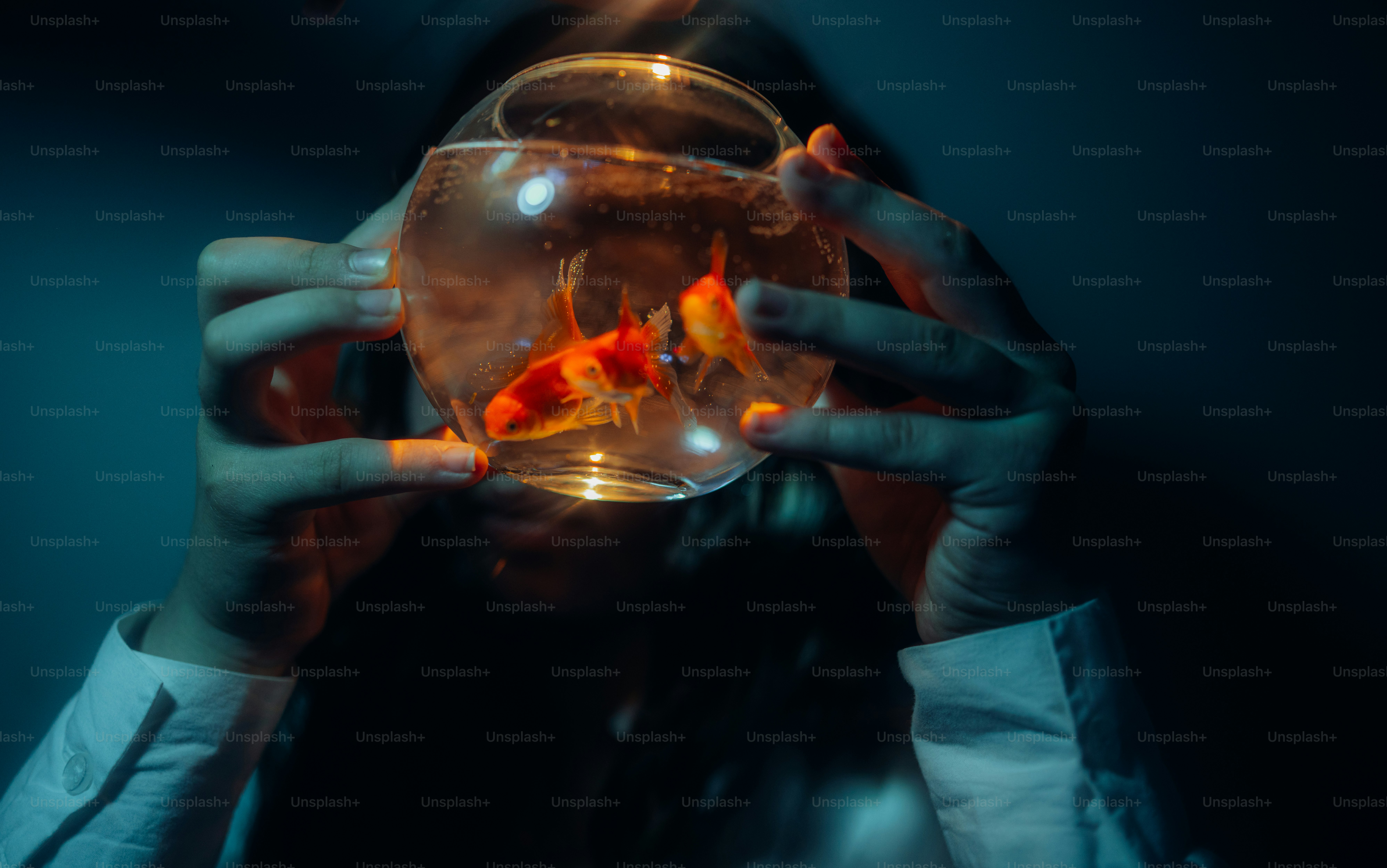 A person holding a small glass bowl containing two orange goldfish in dim light