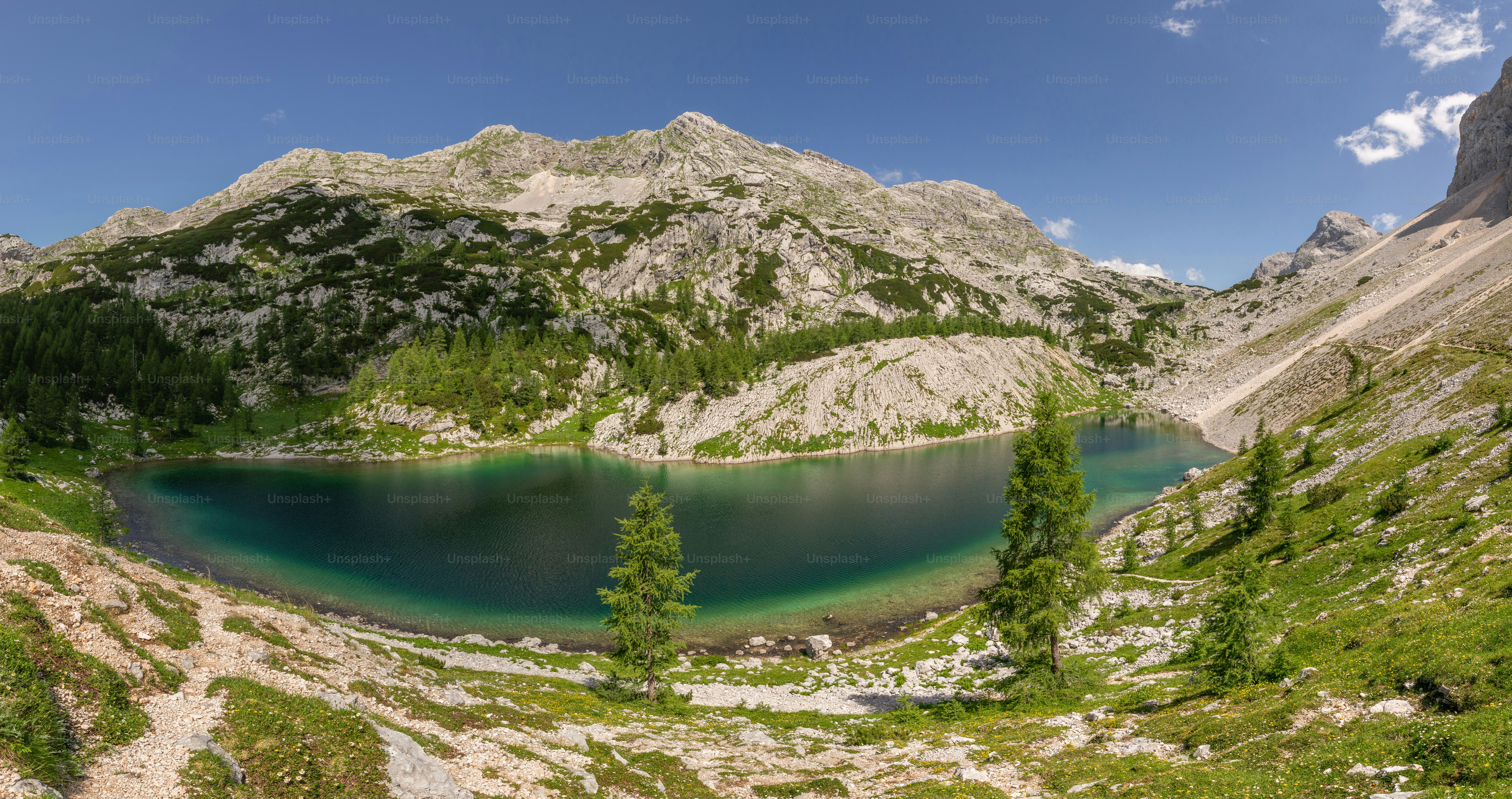 A kidney-shaped alpine lake surrounded by rocky mountains and green coniferous trees