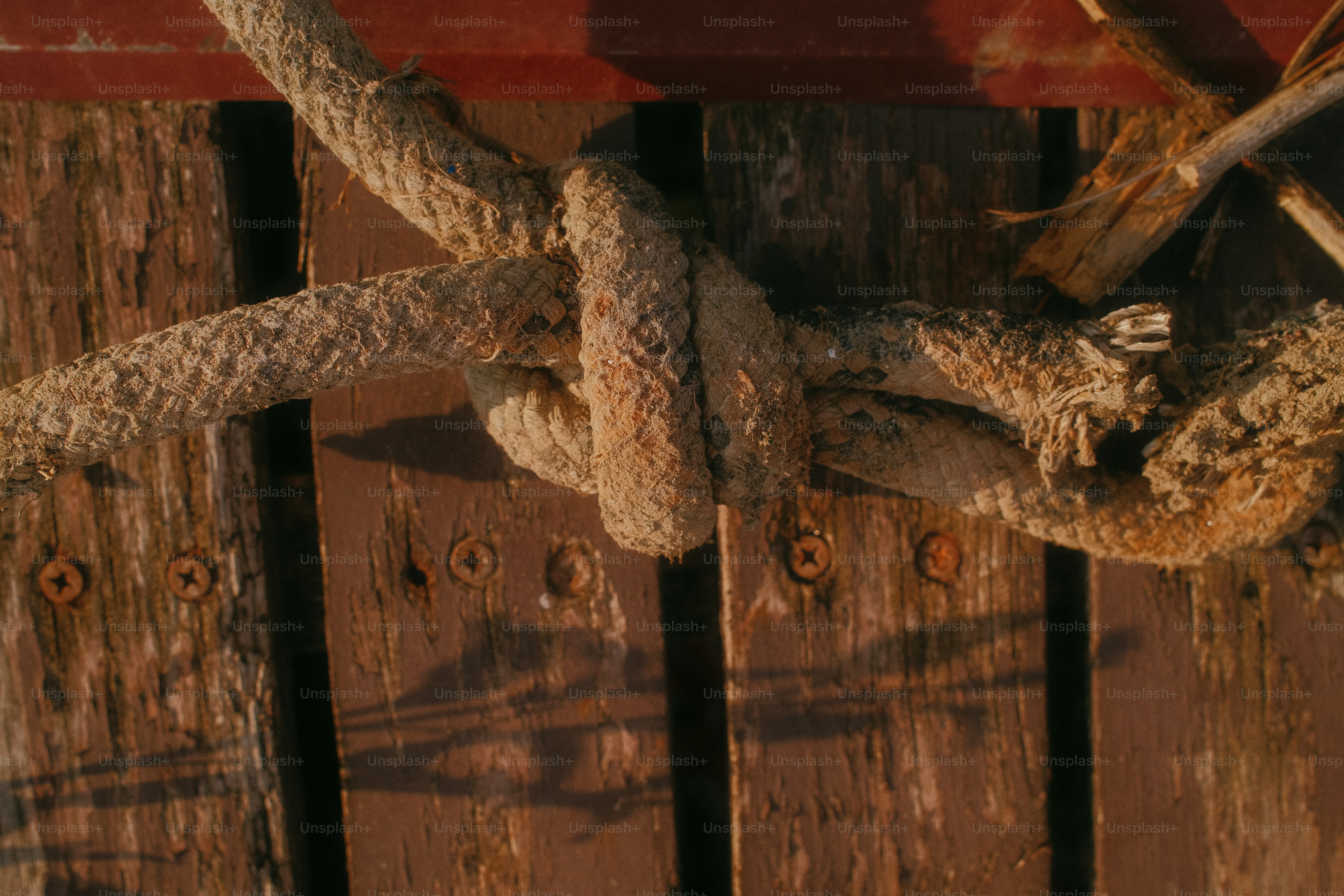 A thick weathered rope tied in a knot against dark brown wooden planks