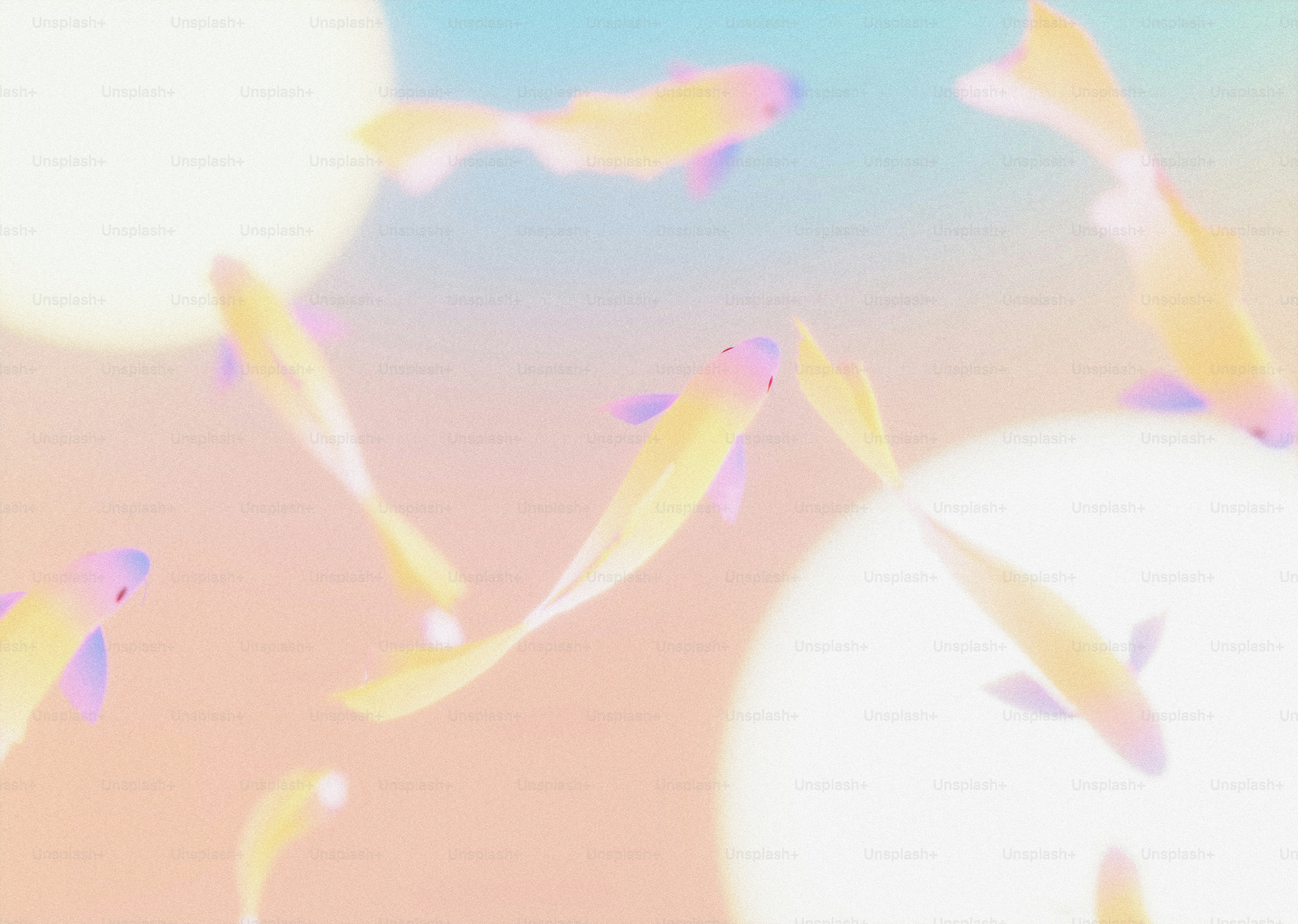 A group of pale yellow and purple fish swimming in soft pastel water