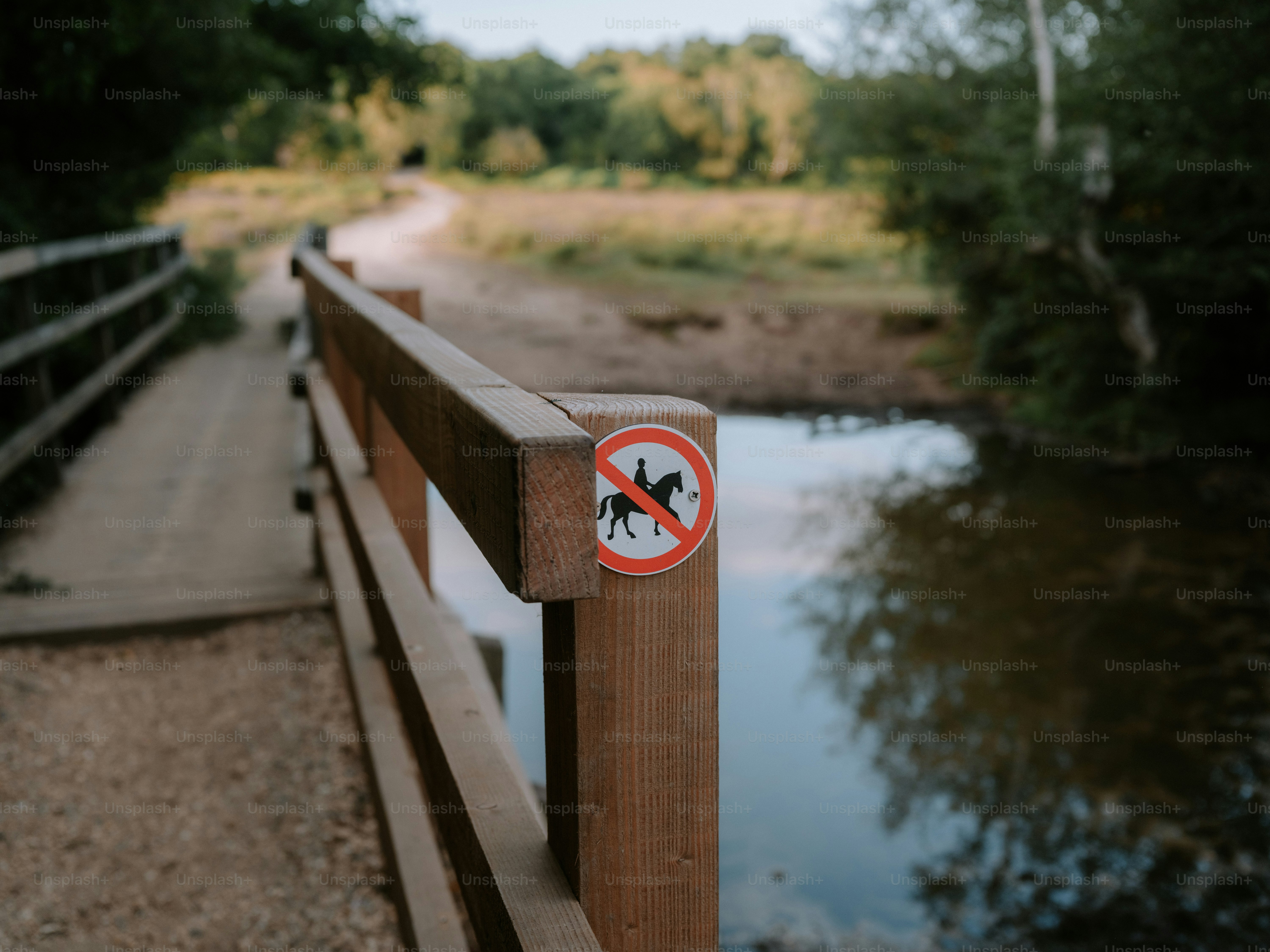 No-horse-riding sign on wooden bridge - Photo on Unsplash+
