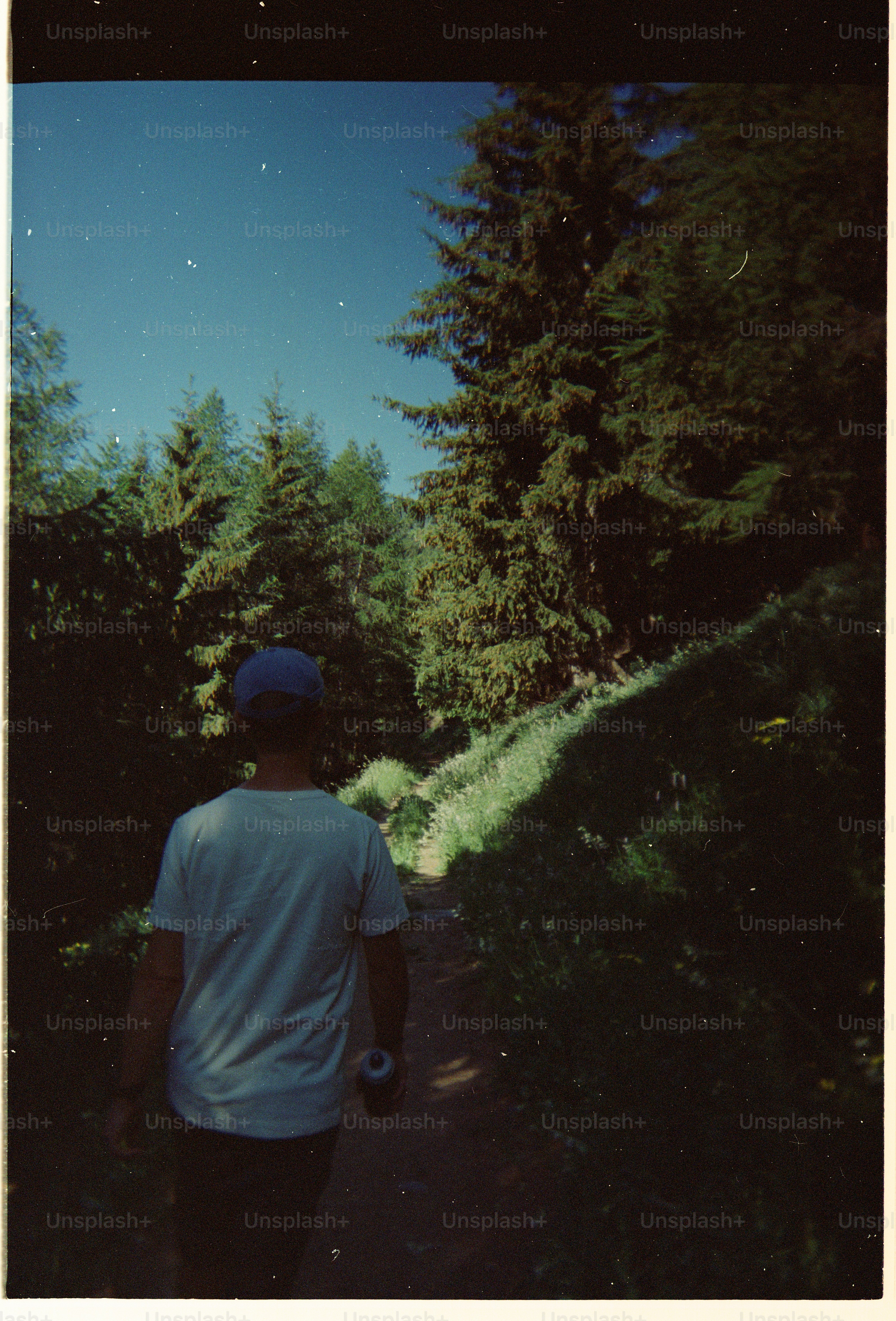 A person in a white t-shirt and blue cap walking along a forest path