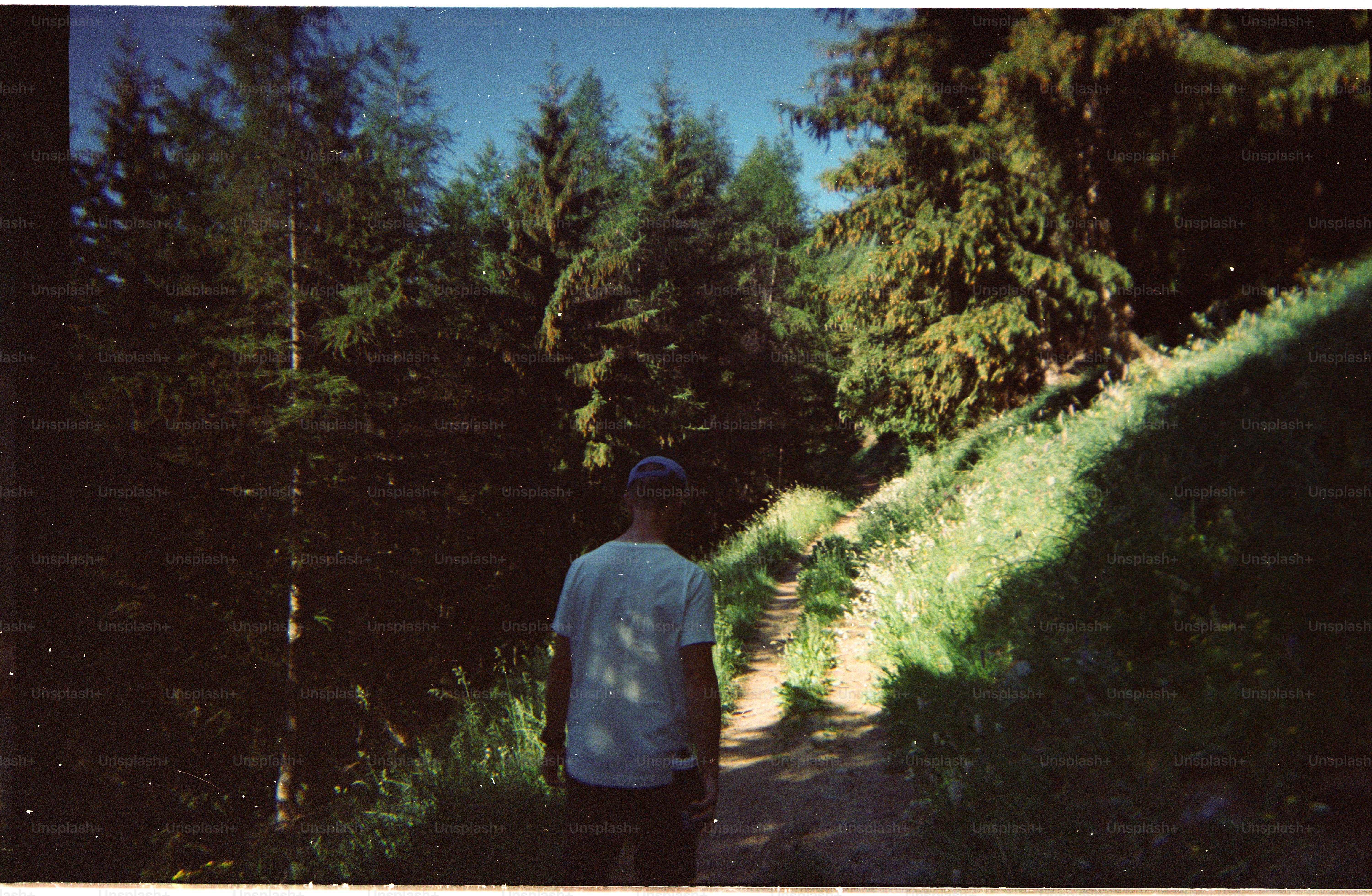 A person in a white t-shirt and cap walking along a forest trail.