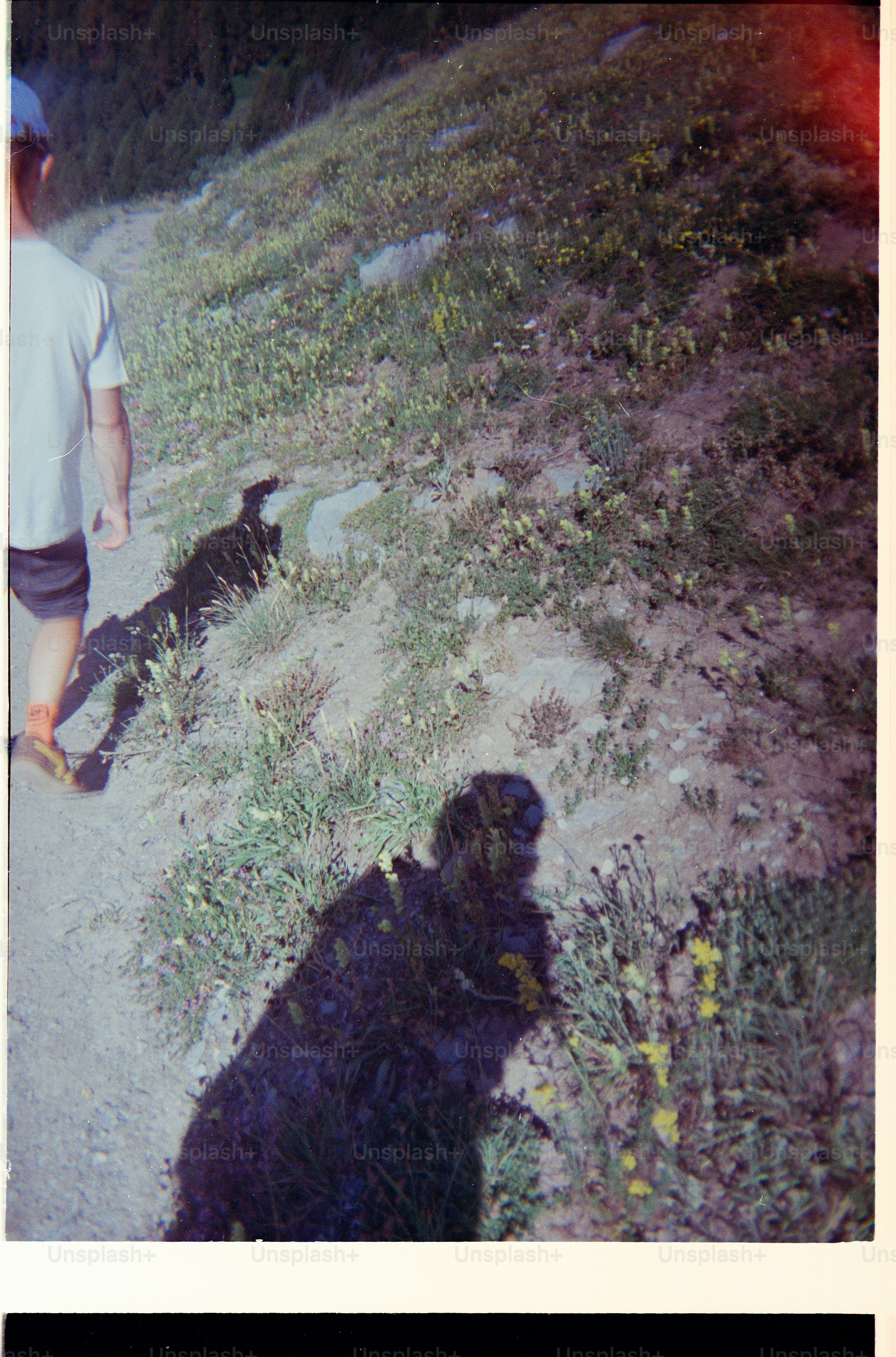 A person in a white t-shirt walking on a grassy hillside with long shadows