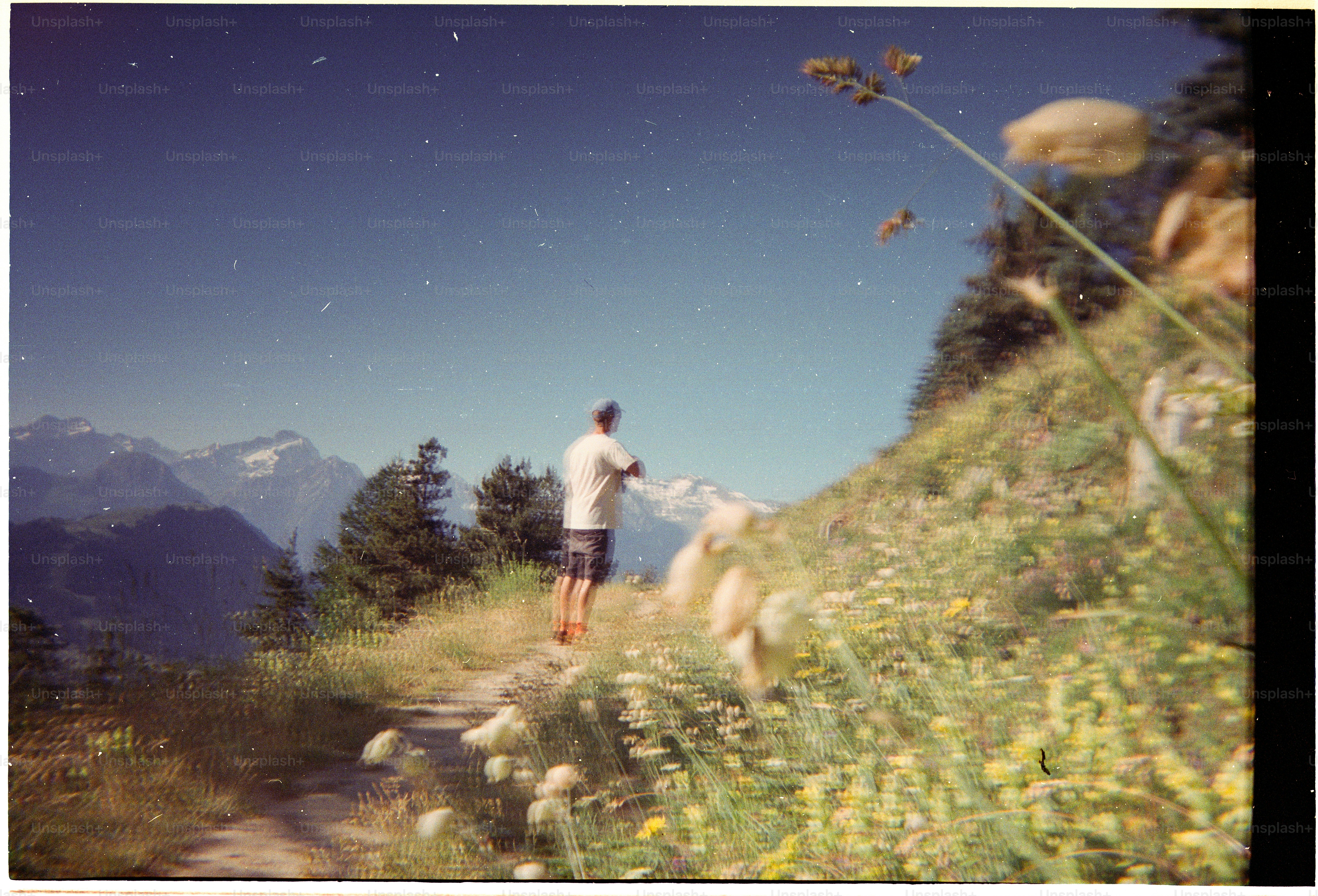 A person on a mountain trail through a meadow with distant snow-capped peaks.