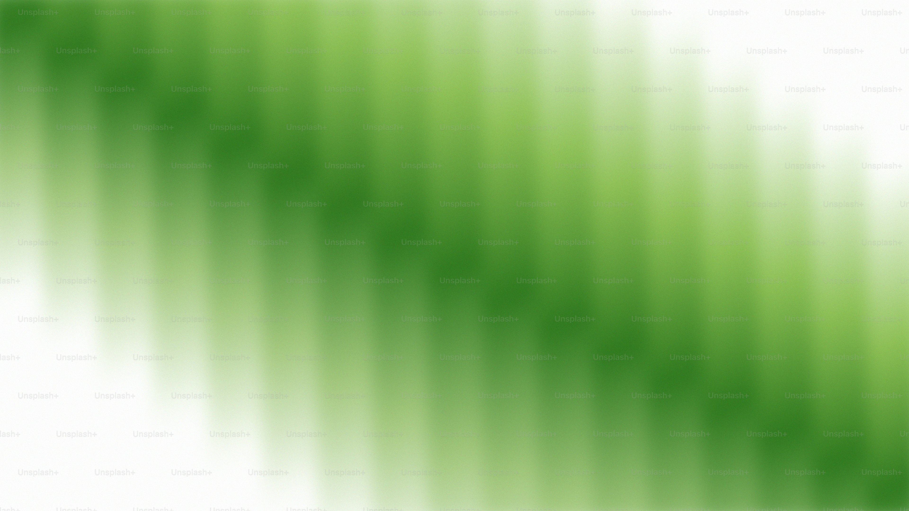 Un degradado suave que pasa de un verde intenso a un blanco brillante