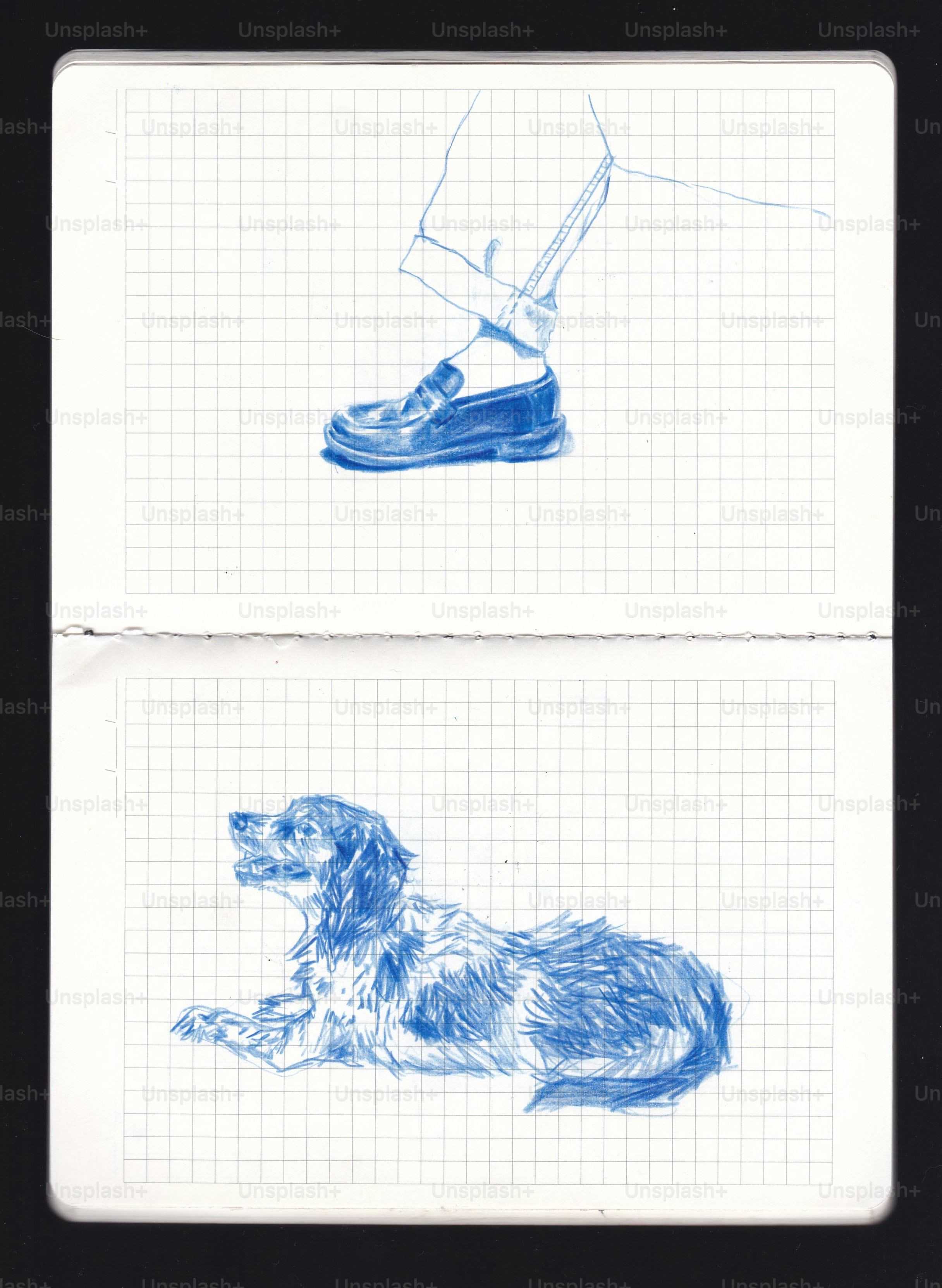 Blaue Tintenzeichnungen von einem Fuß in einem Loafer und einem Hund