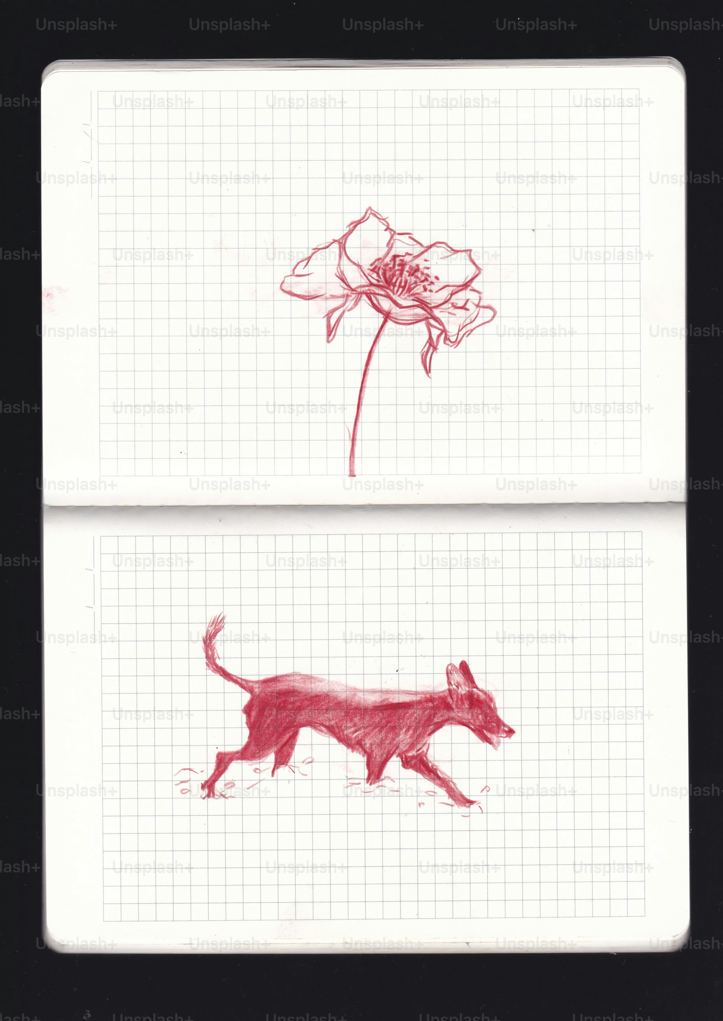 Eine rote Tintenzeichnung einer Blume und eines Hundes auf Rasterpapier