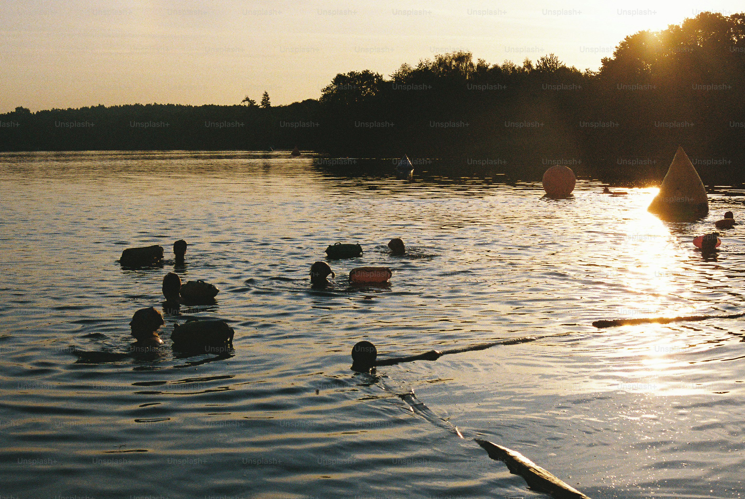 People swimming in a lake with floating buoys during the golden hour.