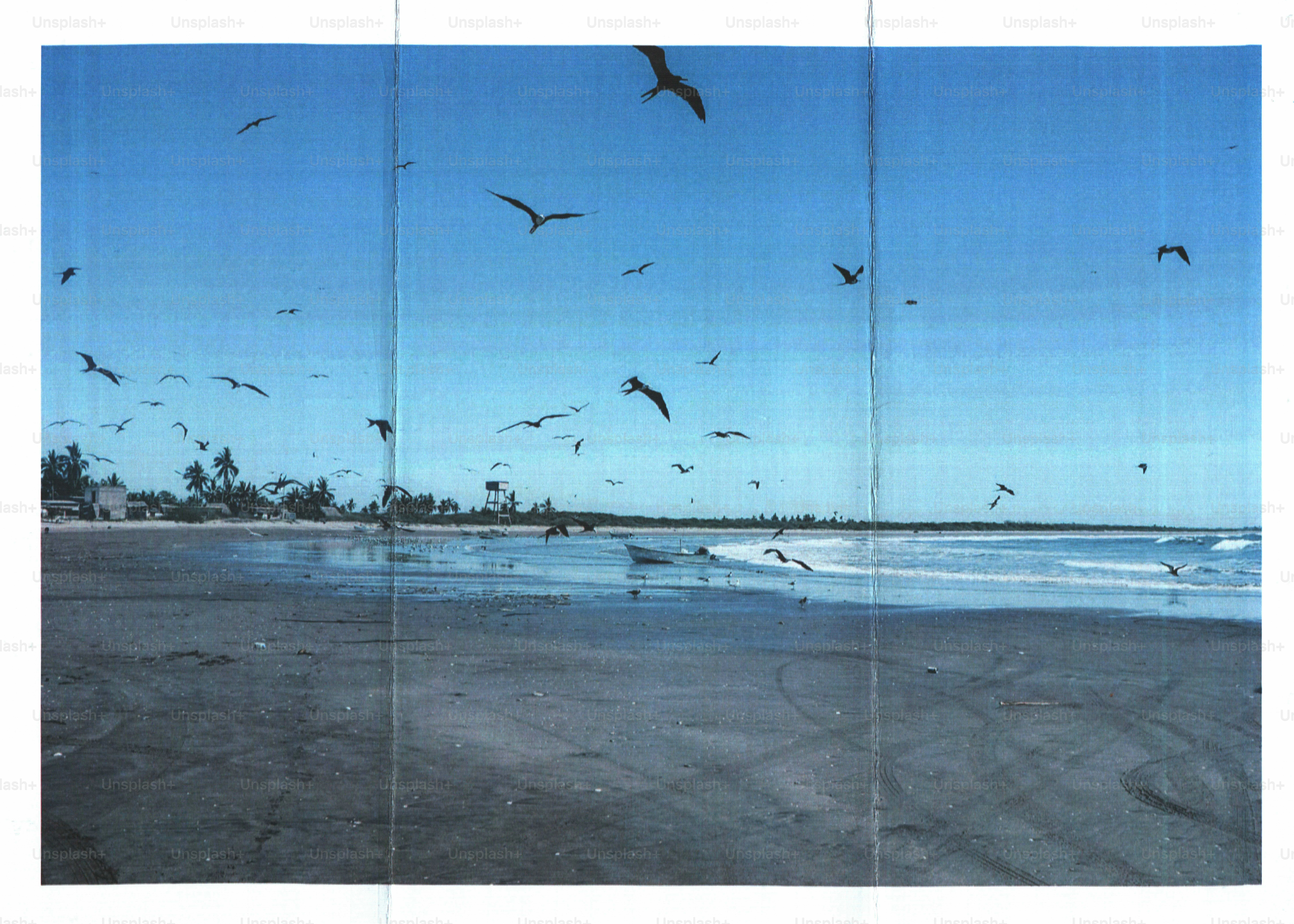 A flock of birds flying over a sandy beach with a small boat