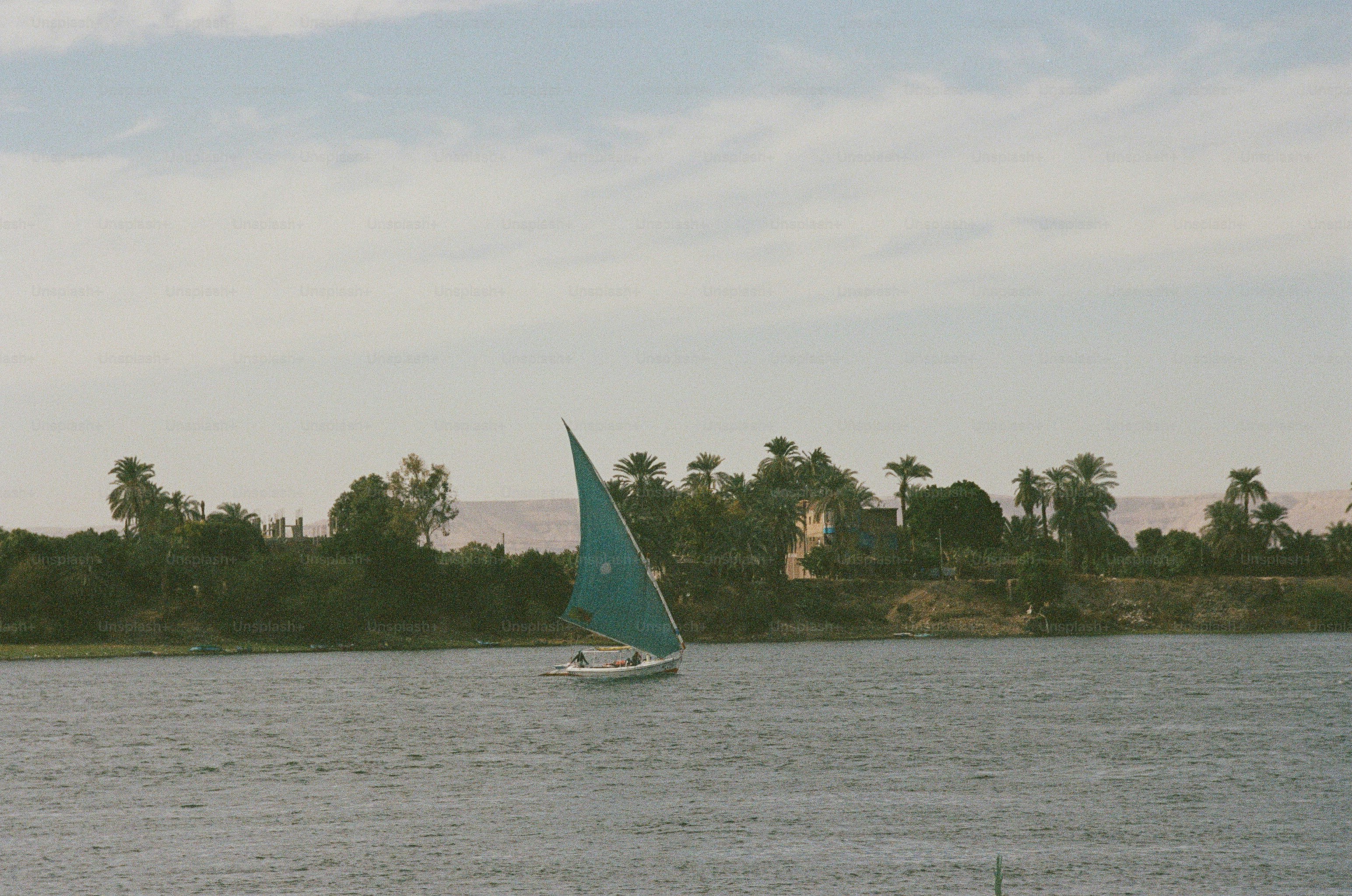 A teal-sailed felucca boat on the Nile river near palm trees in Luxor, Egypt