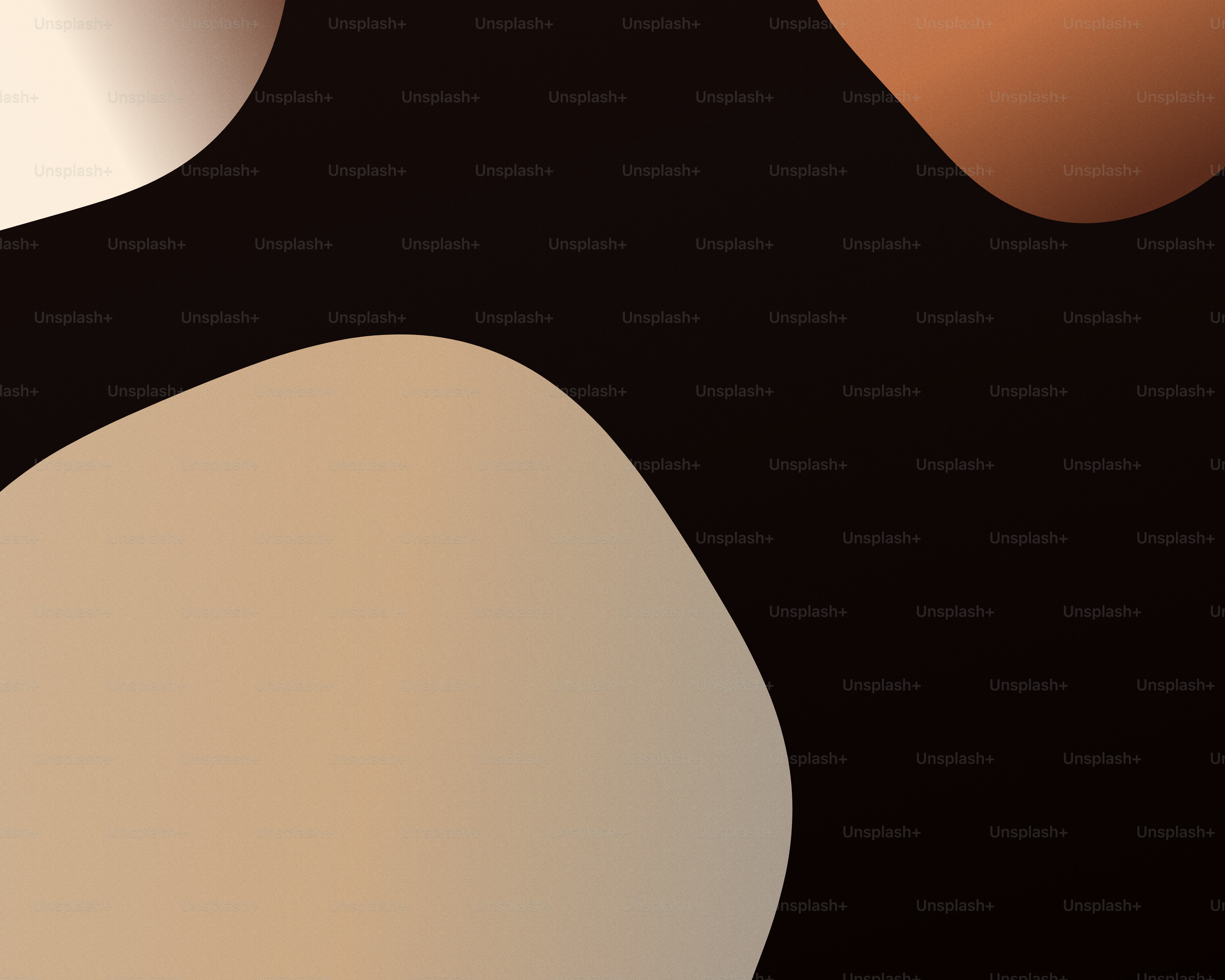 Abstract organic shapes in beige, copper, and cream against a black background.