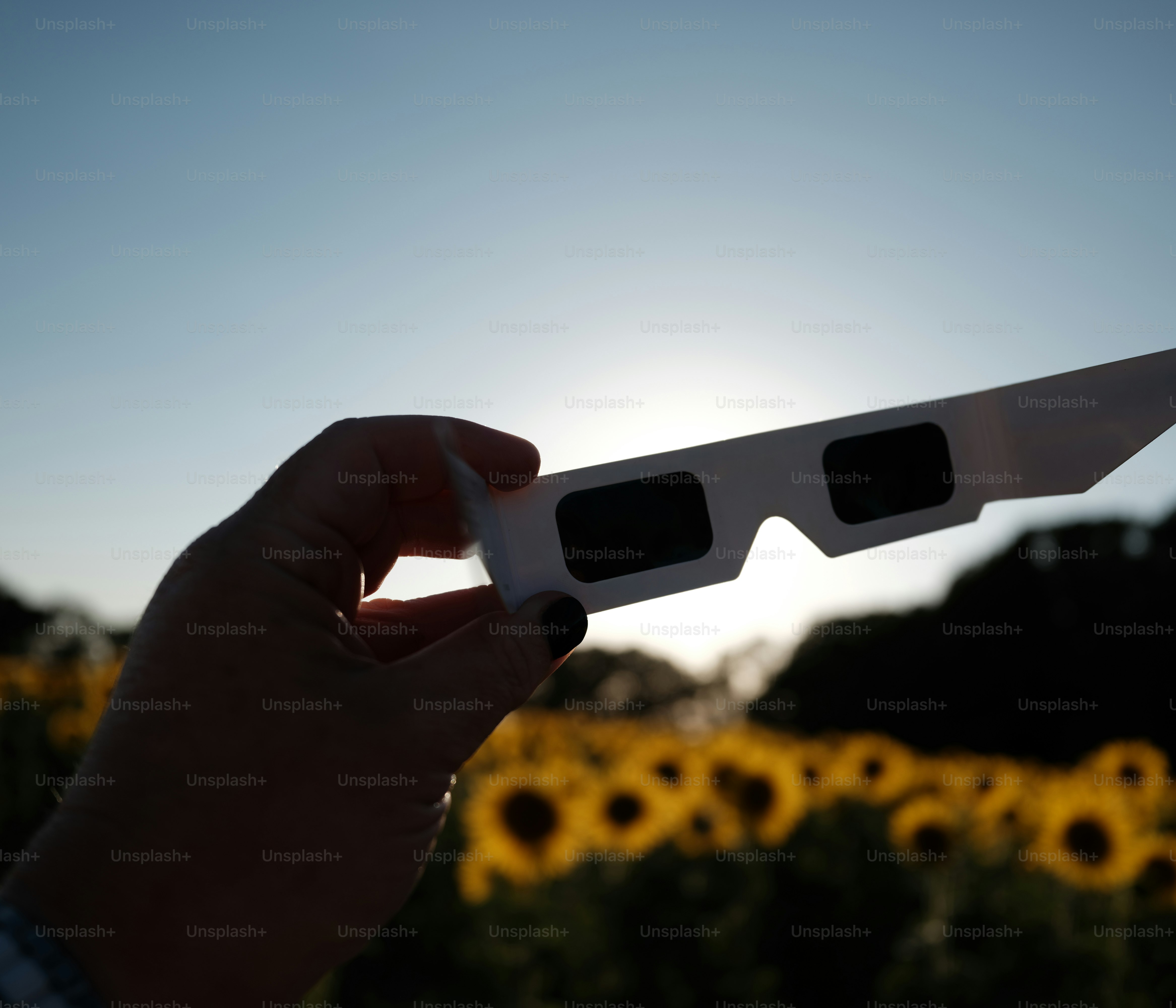 A hand holding solar eclipse glasses against a bright sky and sunflower field.