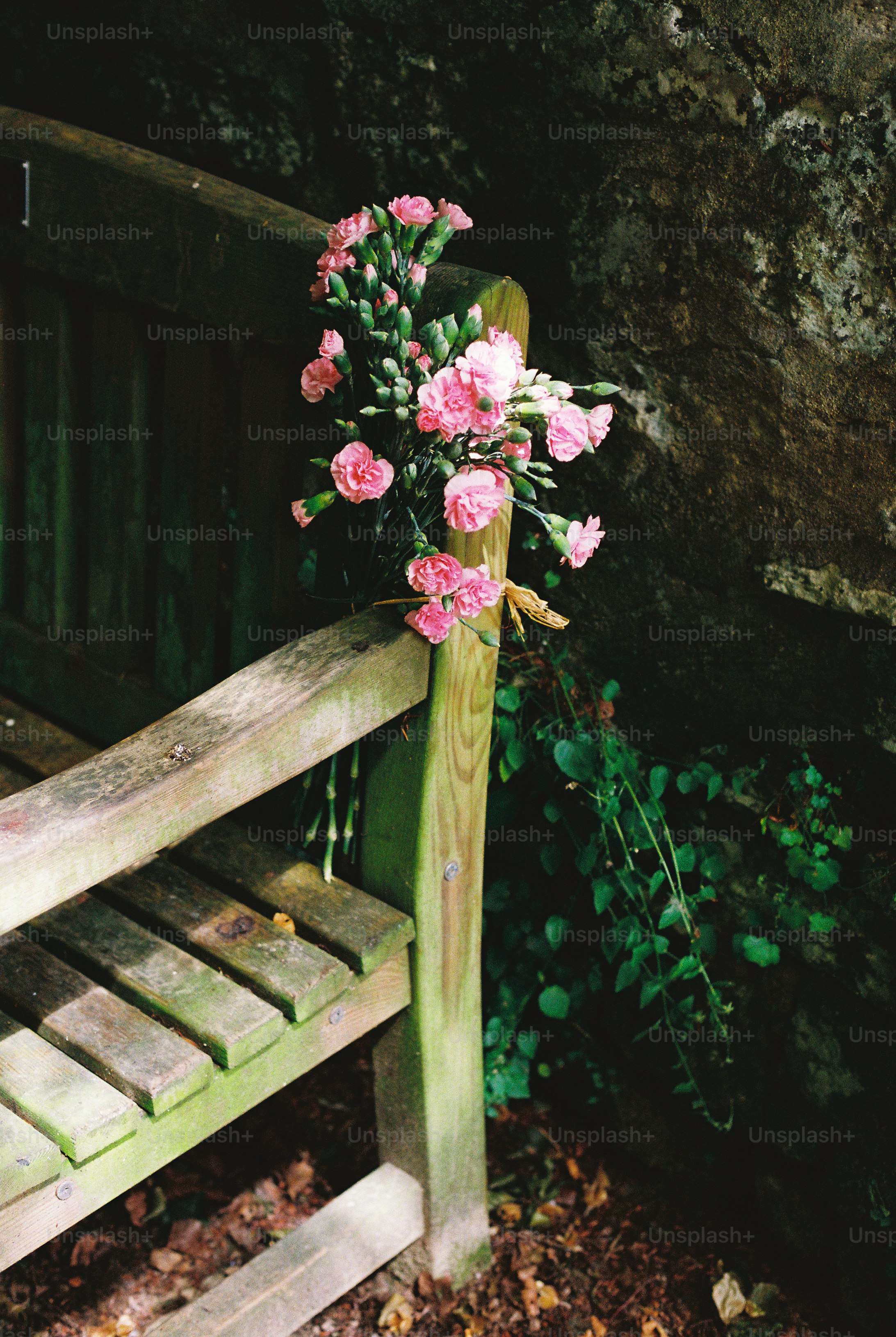 A bouquet of pink carnations tied to a weathered wooden garden bench.