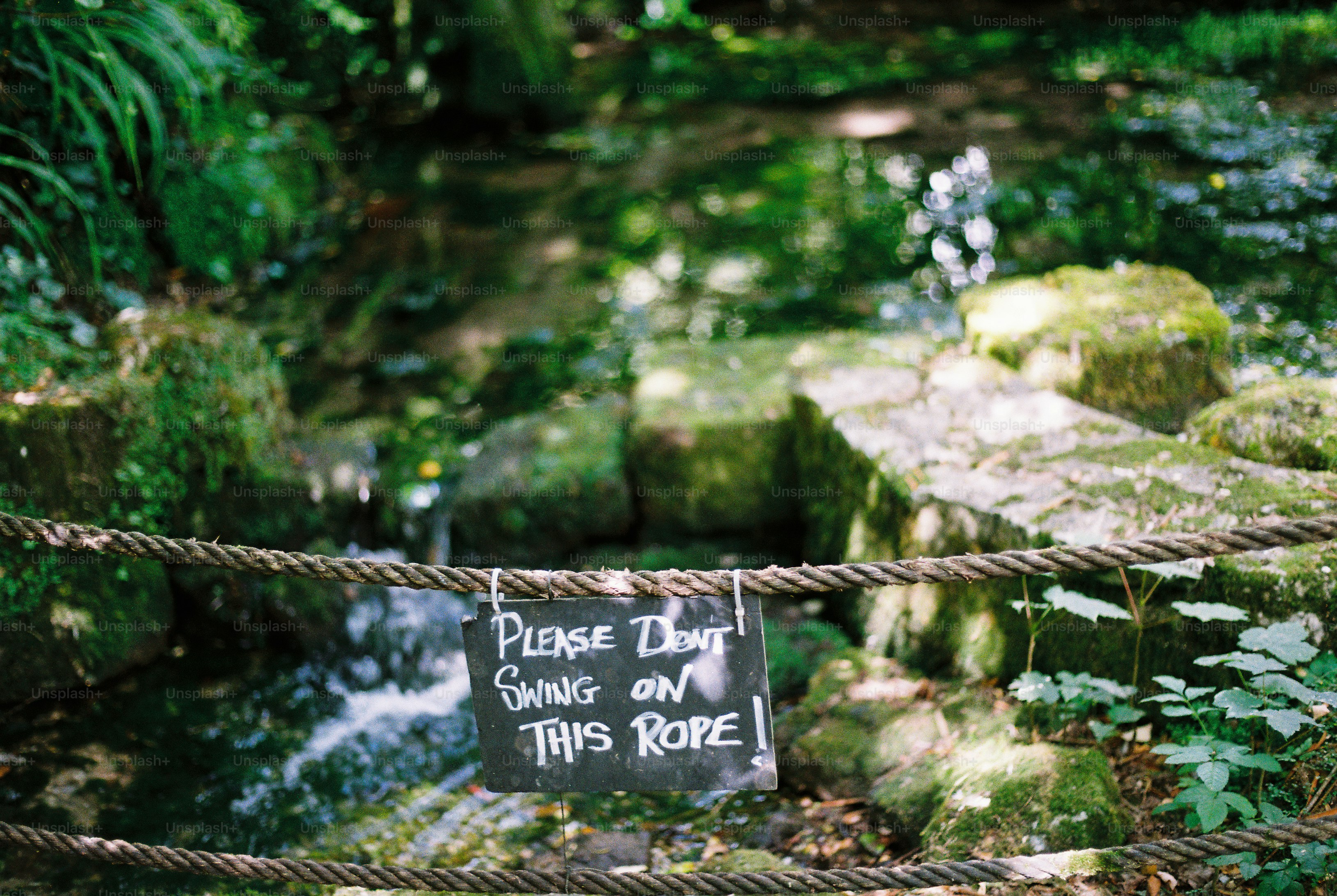 A sign reading "Please don't swing on this rope" hanging from a thick rope.