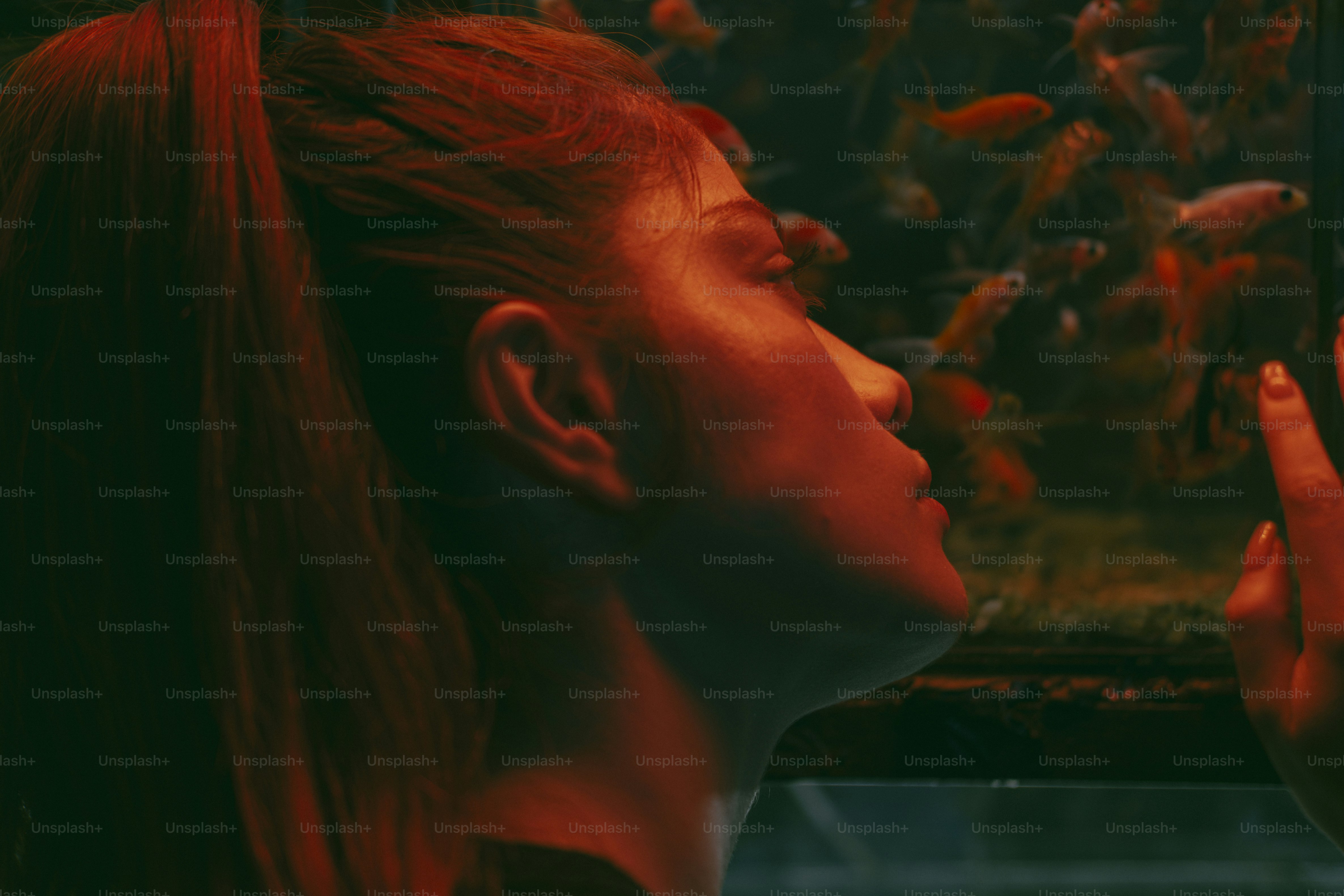 A person with a ponytail looking at goldfish in a dark aquarium