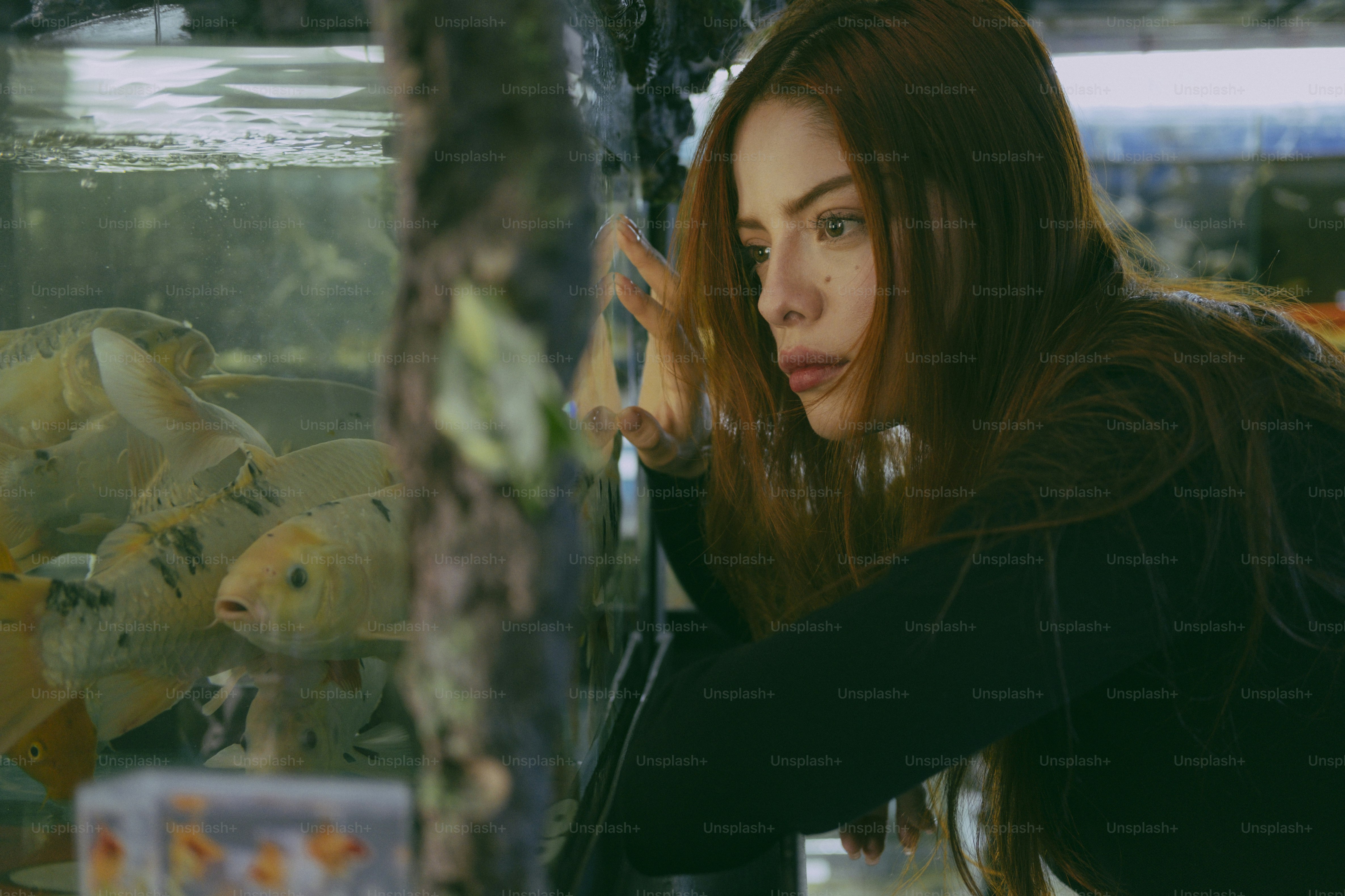 A woman with long hair touching the glass of an aquarium filled with koi