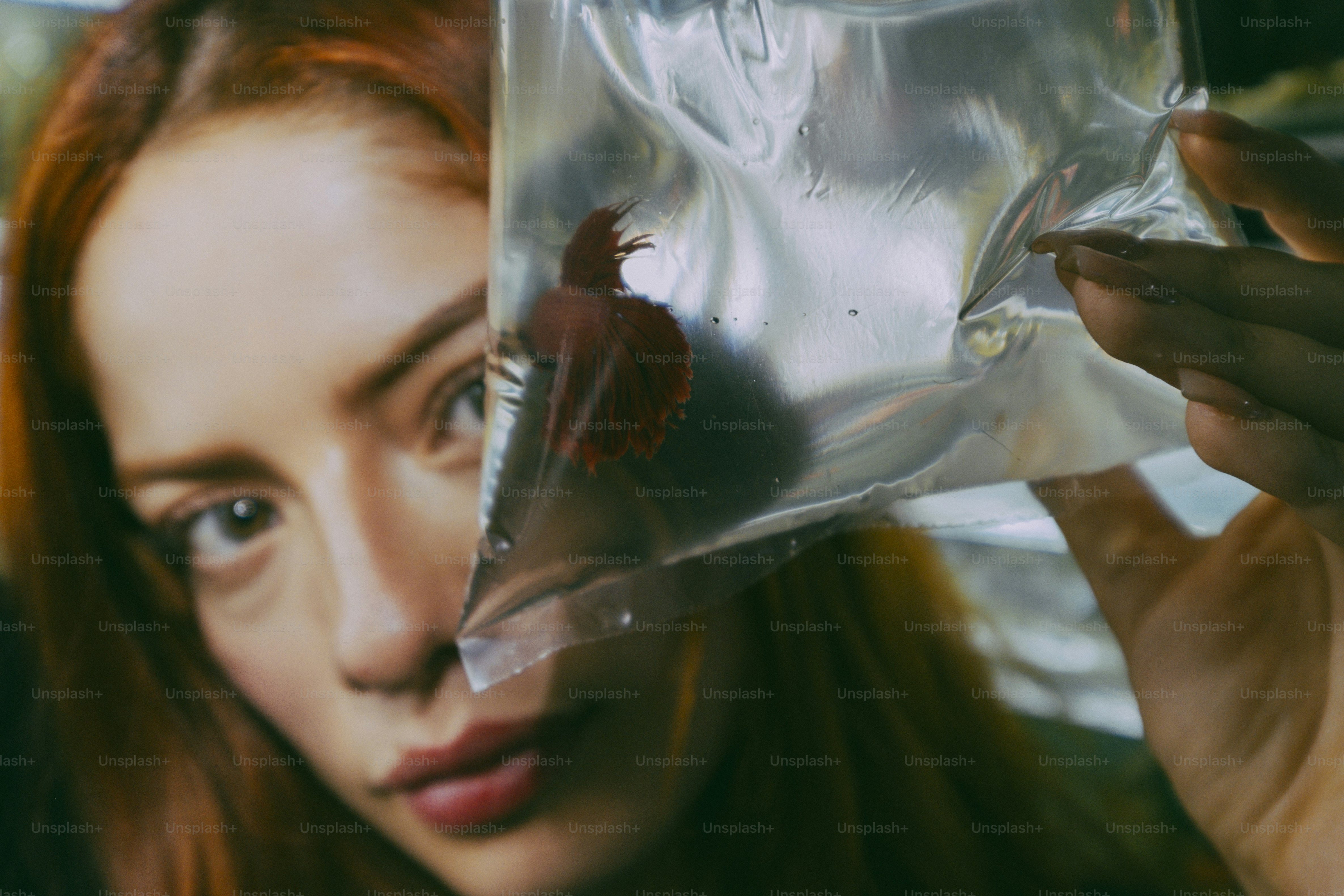 A person holding a clear plastic bag containing a red betta fish