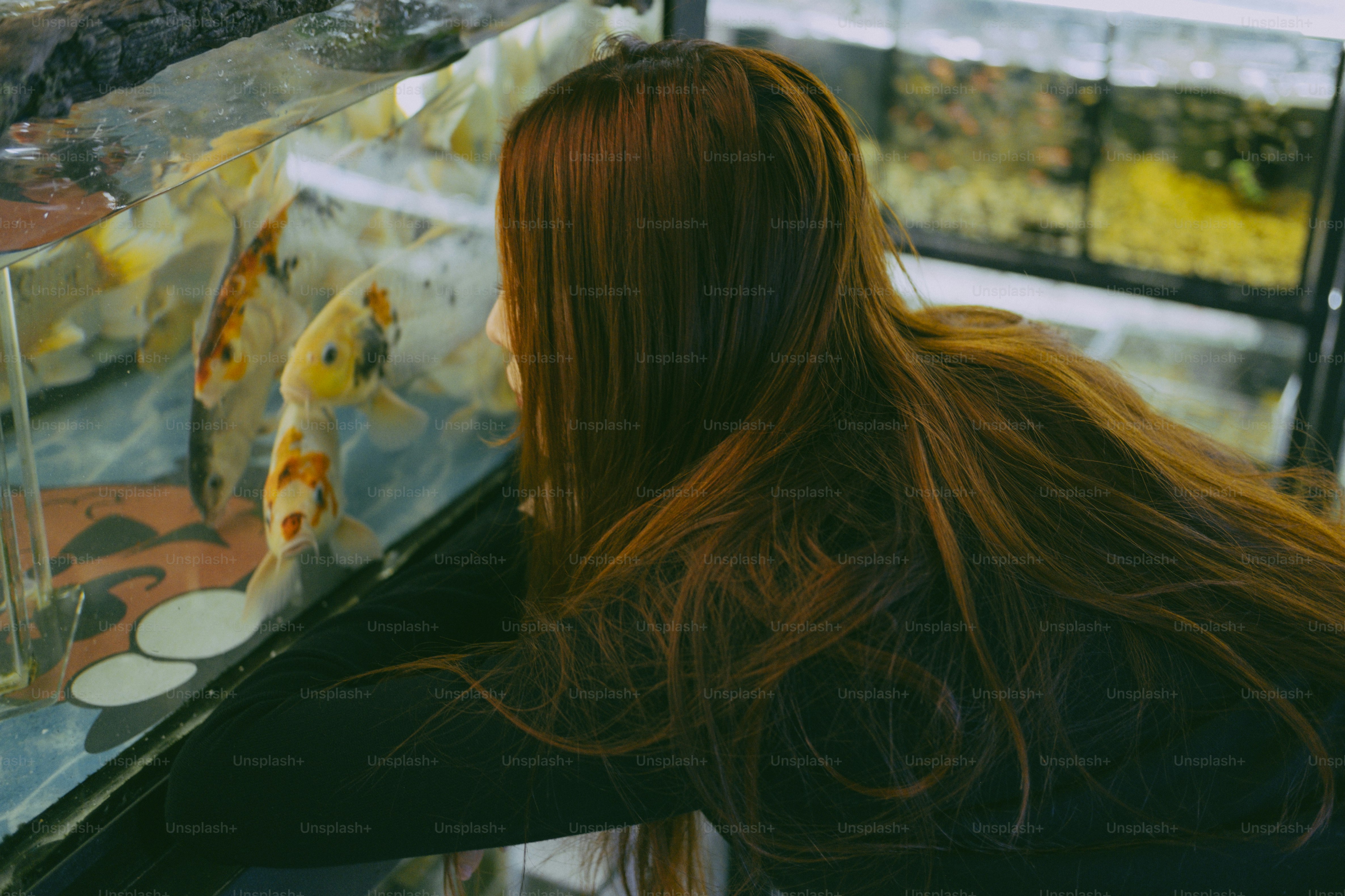 A woman with long auburn hair looking at koi fish in an aquarium