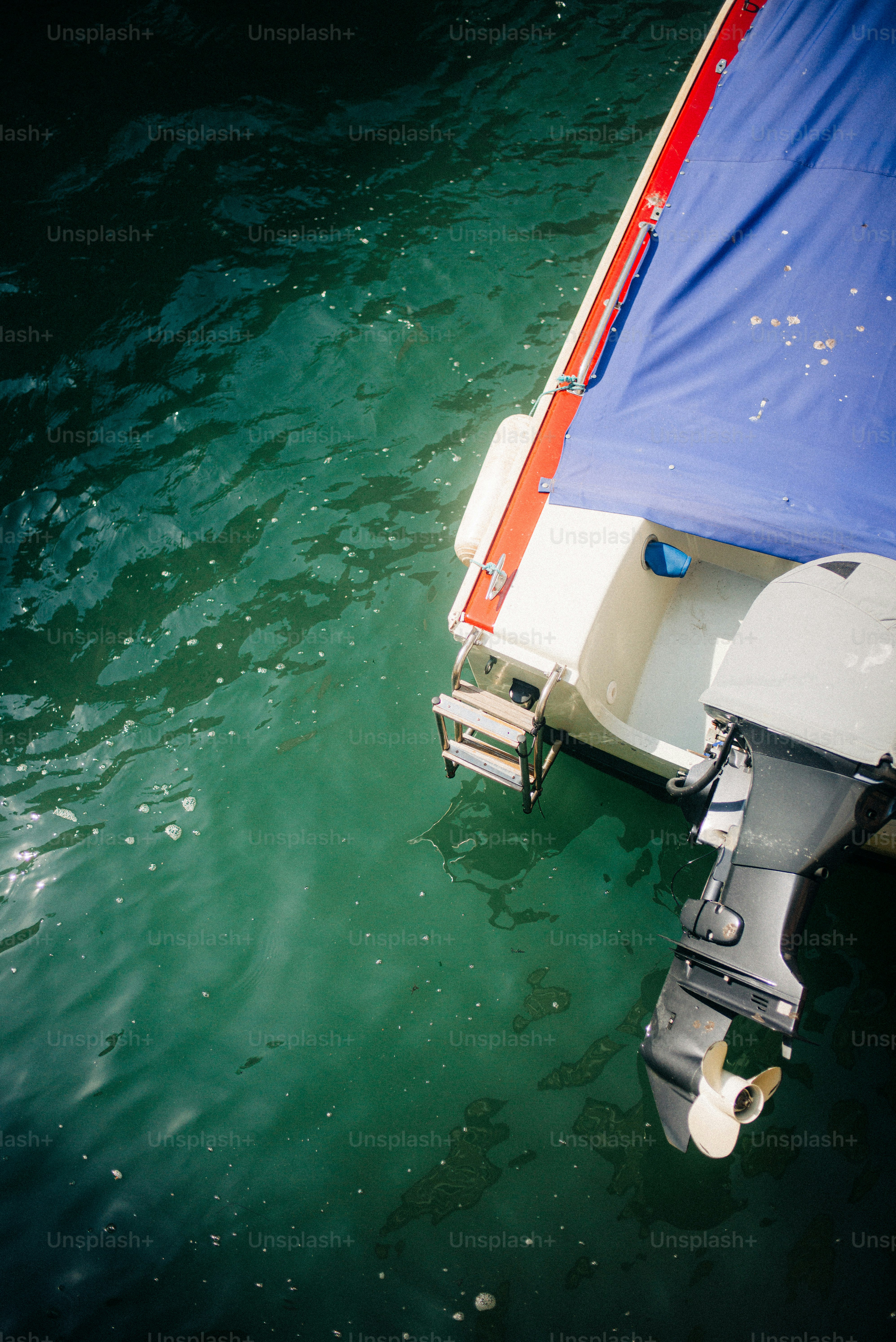 A motorboat with a blue cover on green water with a metal ladder