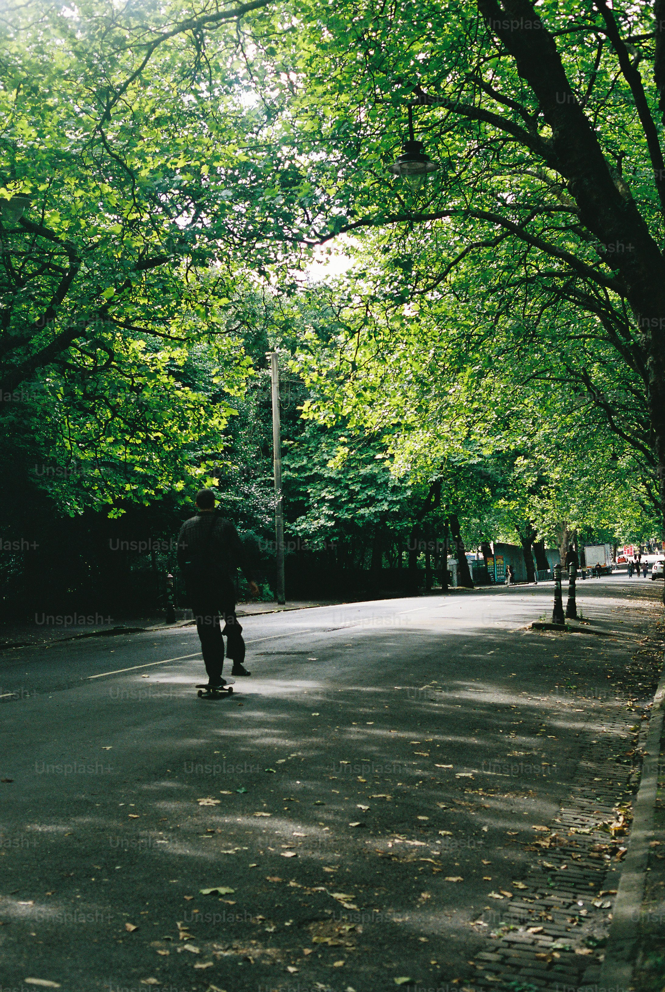 A person skateboarding down a tree-lined road with dappled sunlight on the asphalt