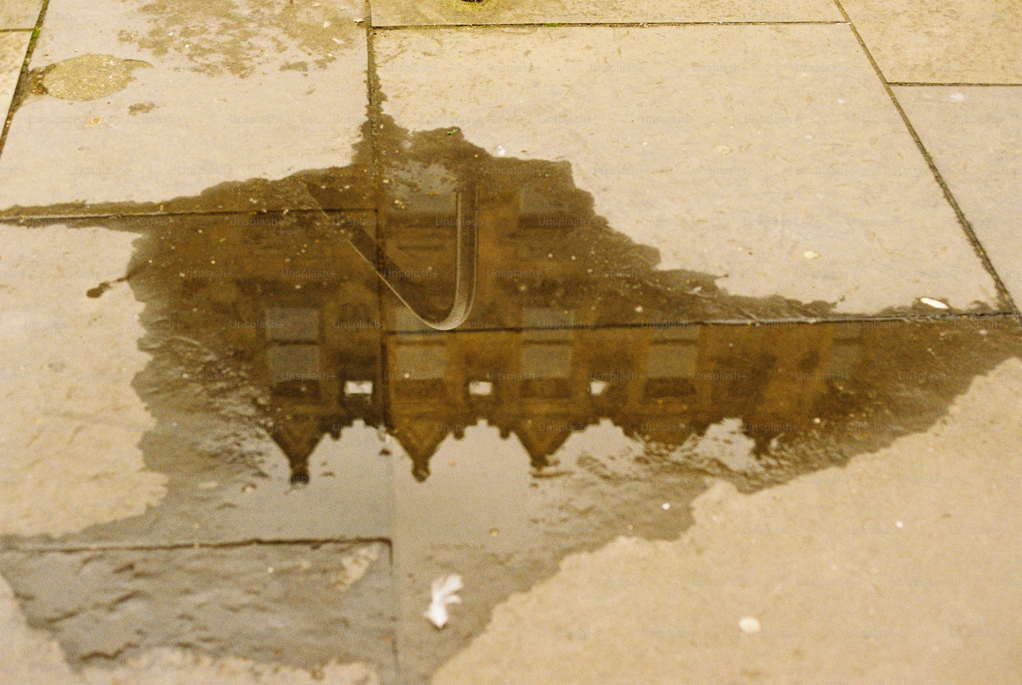 Reflection of a building in a puddle on a stone sidewalk