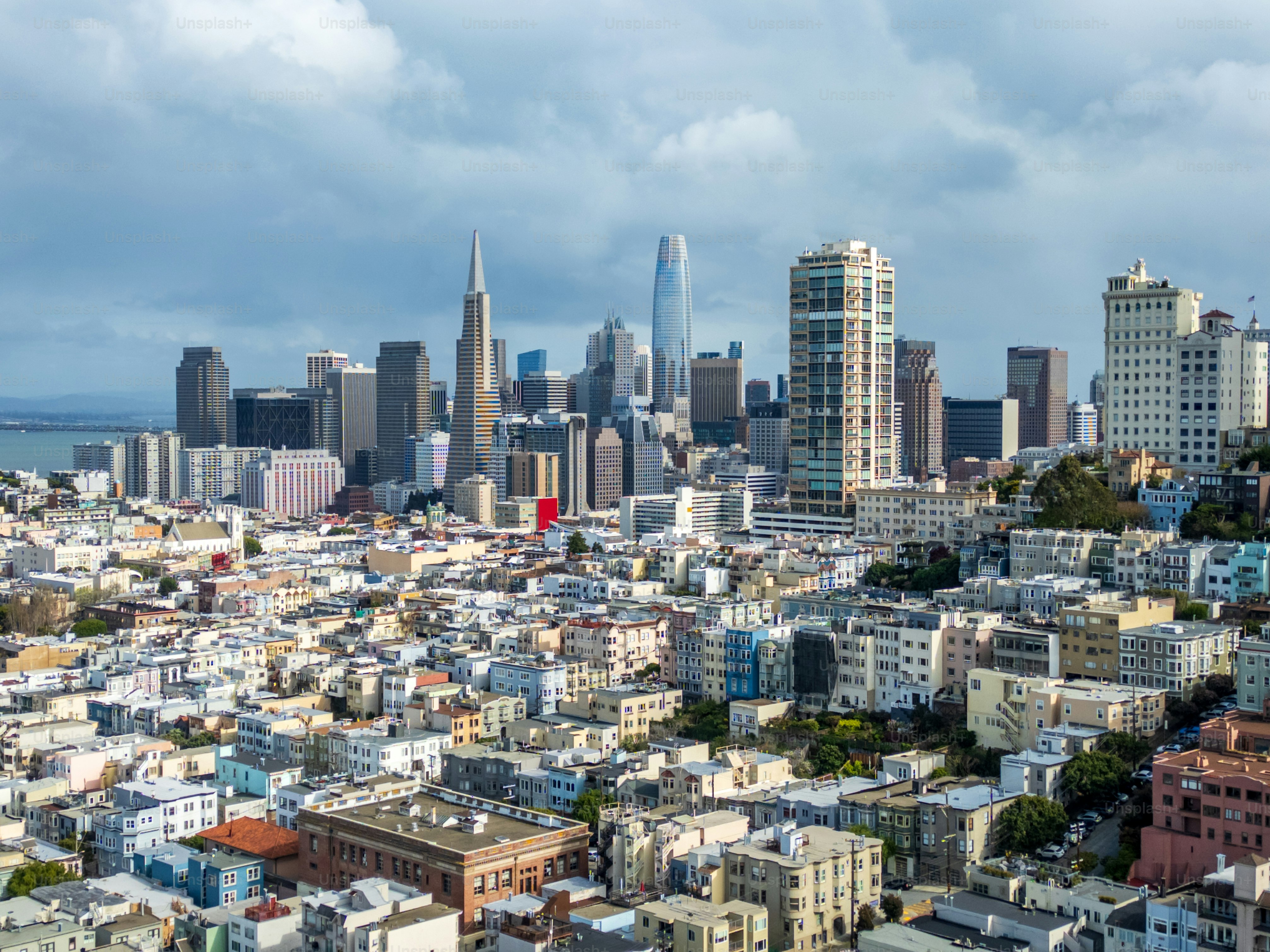 View of San Francisco cityscape above from Lombard Street - San Francisco - USA
