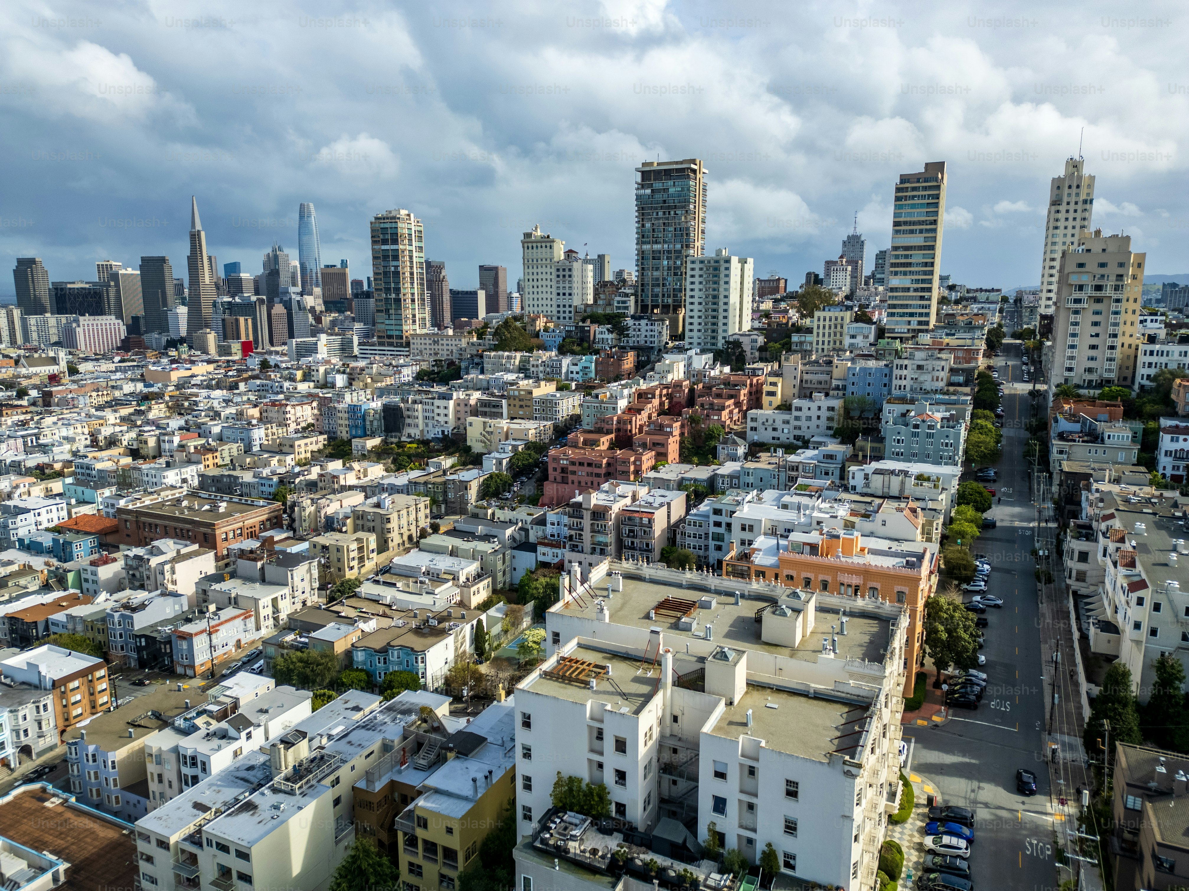 View of San Francisco cityscape above from Lombard Street - San Francisco - USA