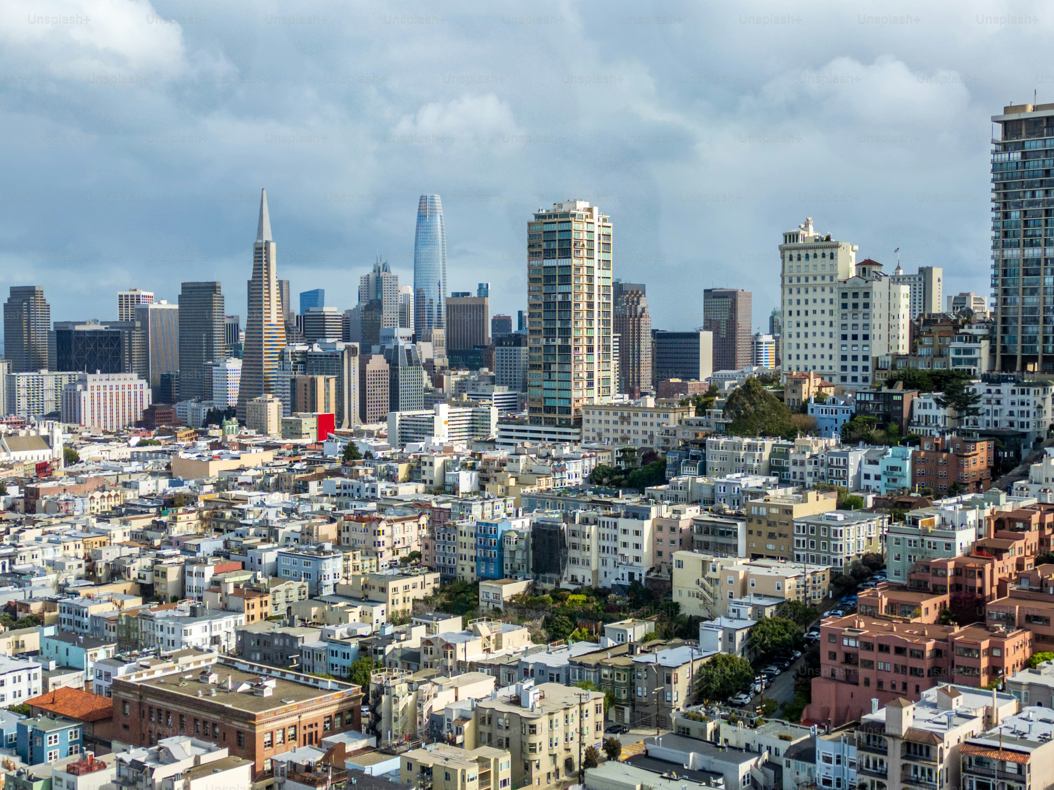 View of San Francisco cityscape above from Lombard Street - San Francisco - USA