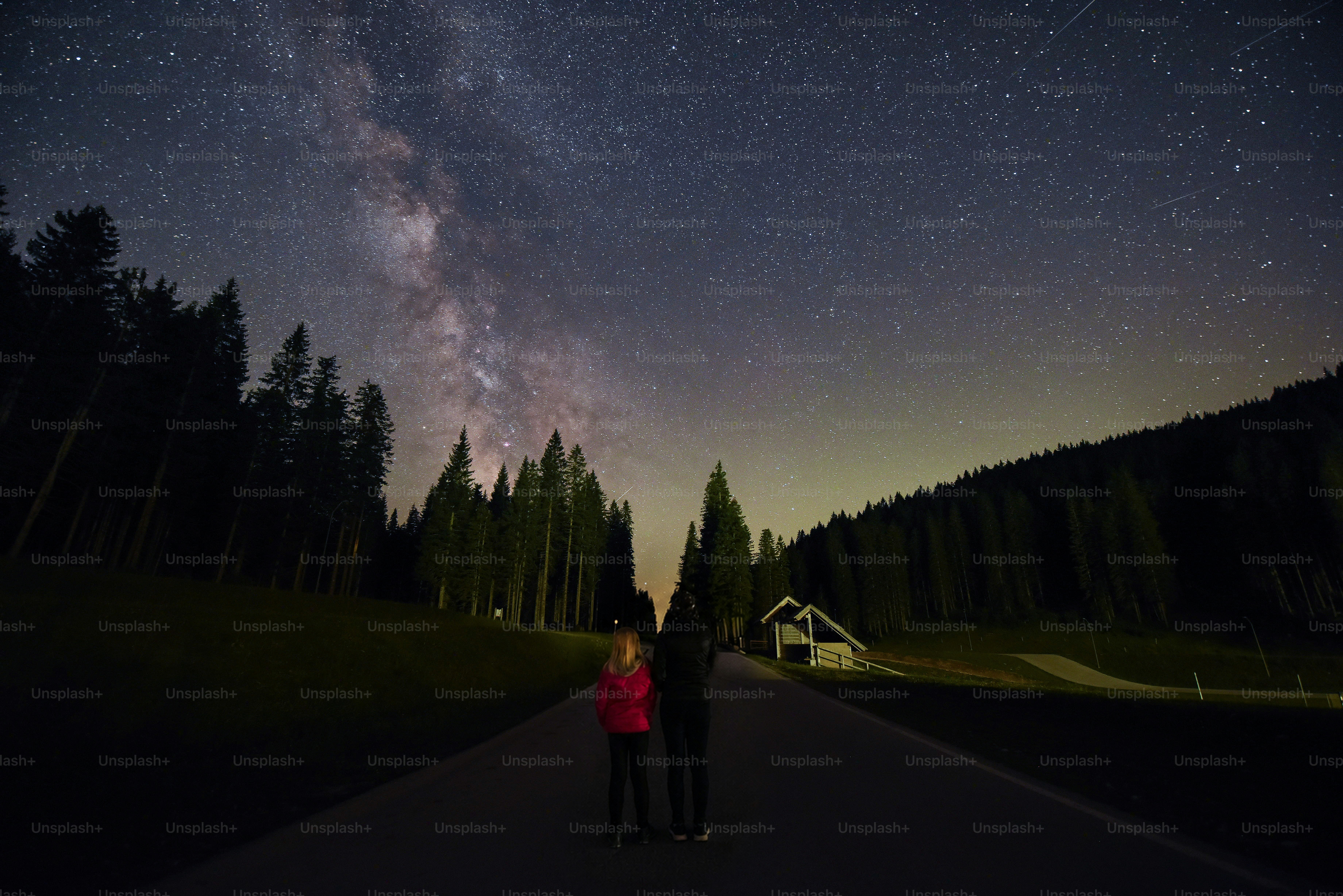 Two people standing on a road under a starry night sky with pine trees