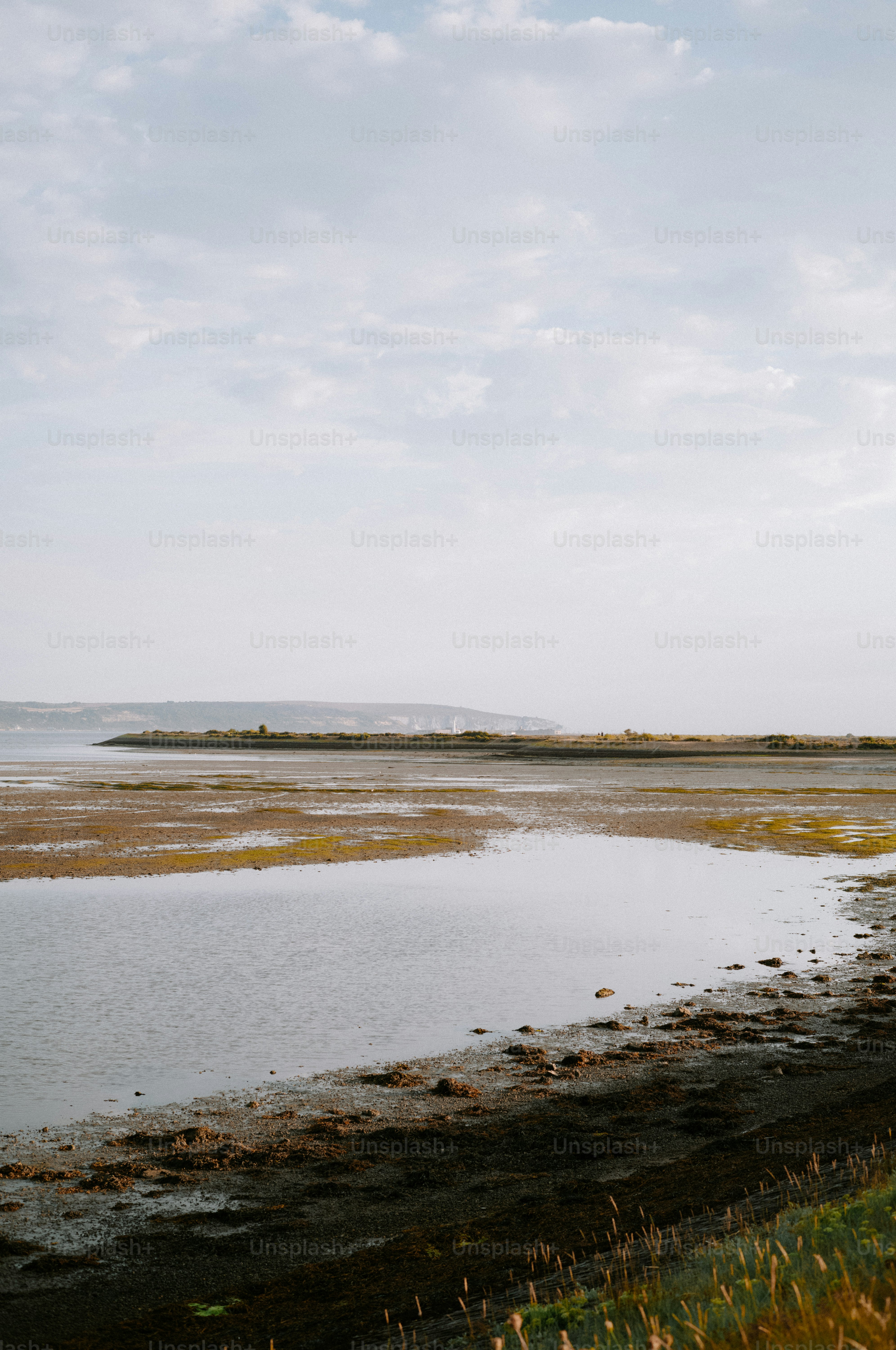 A tidal flat with shallow water and muddy banks under a pale sky