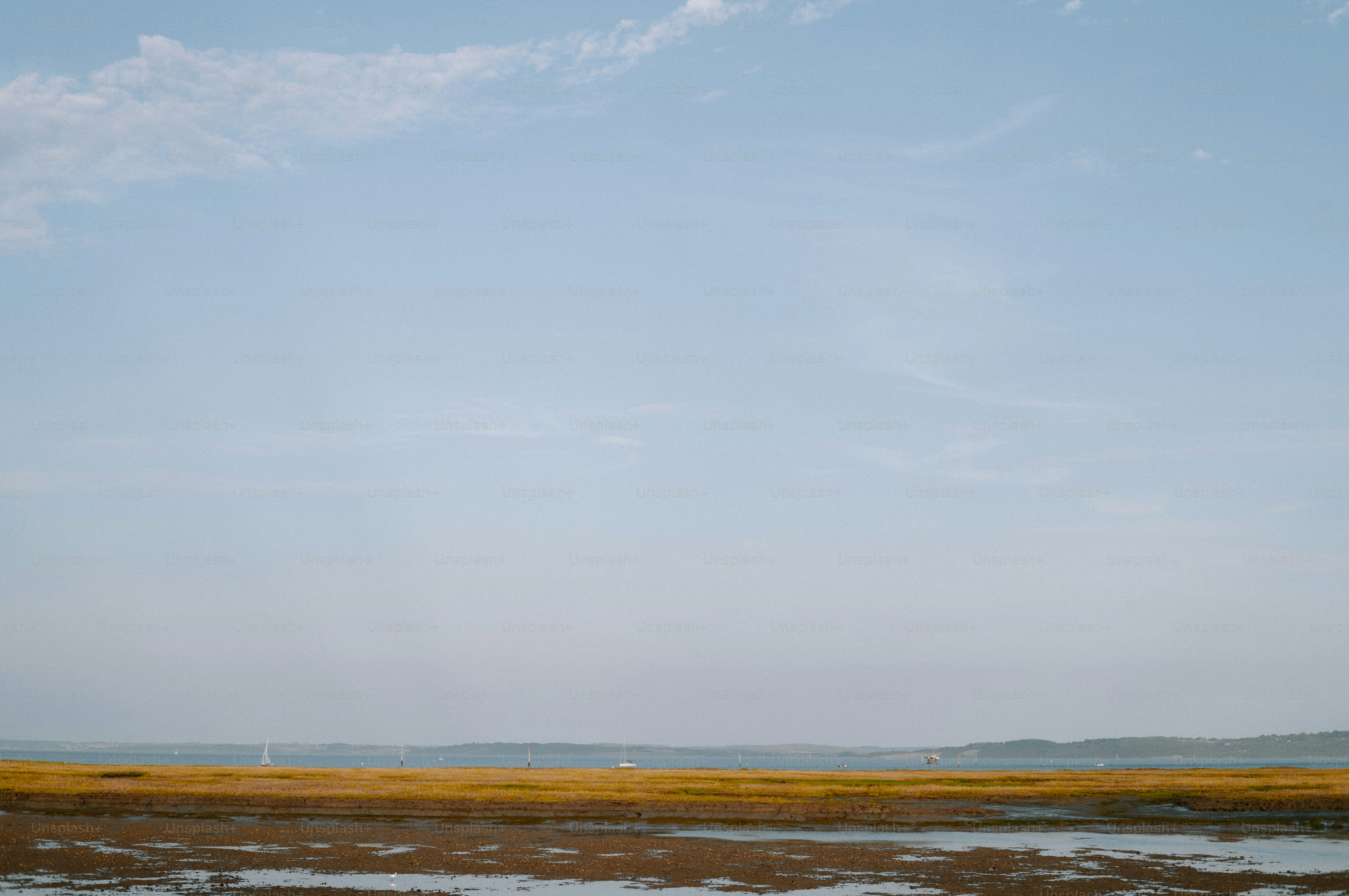 A wide view of a golden salt marsh beside a calm blue bay