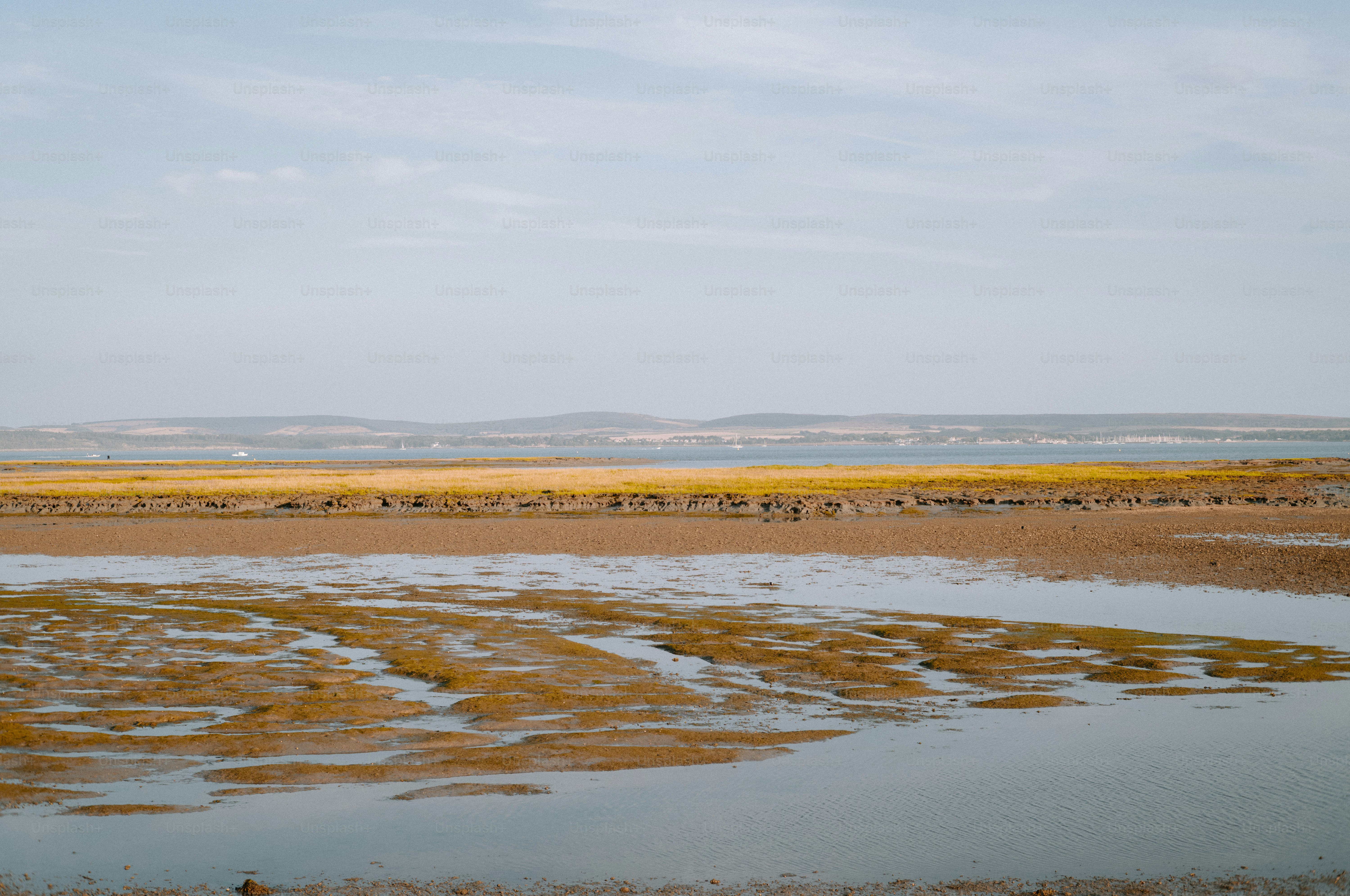 Low tide exposing mudflats and golden marsh grass along a calm coastal bay