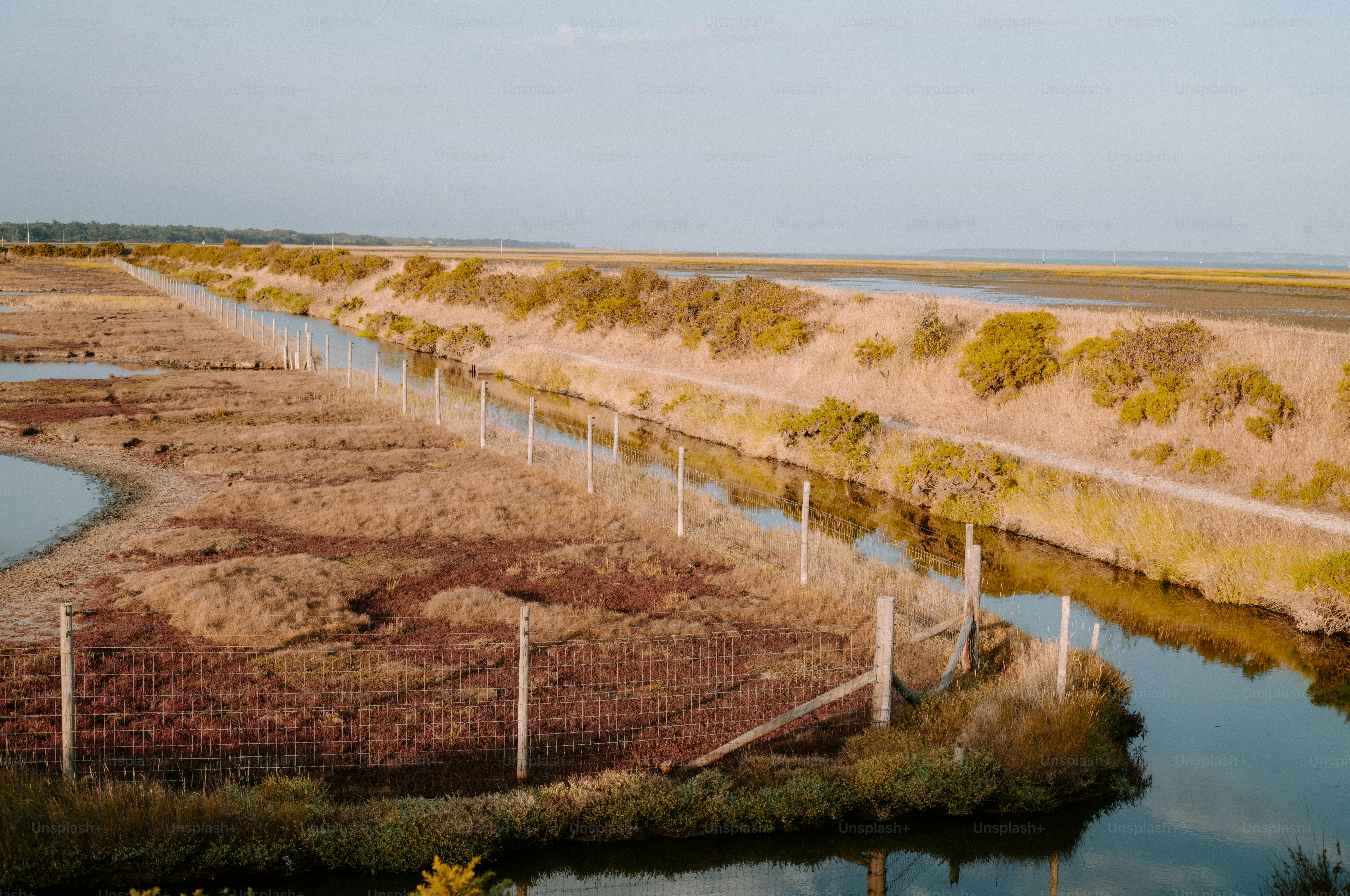 A narrow canal flowing through a salt marsh with a wire fence