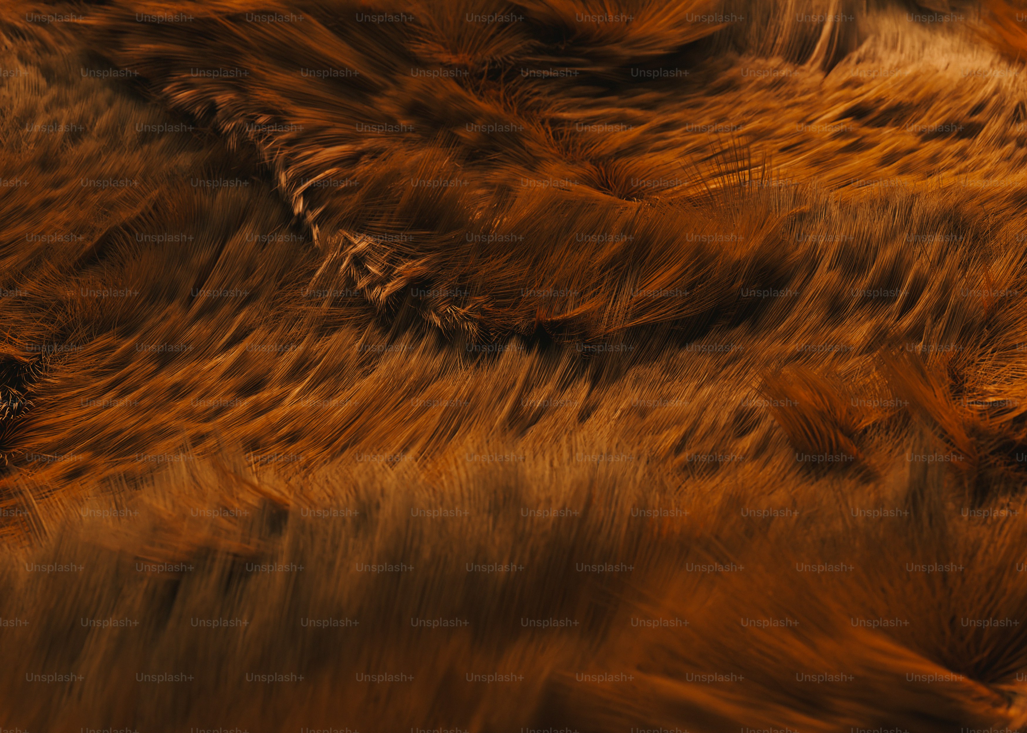 A close-up of dense brown fur with soft light and flowing texture