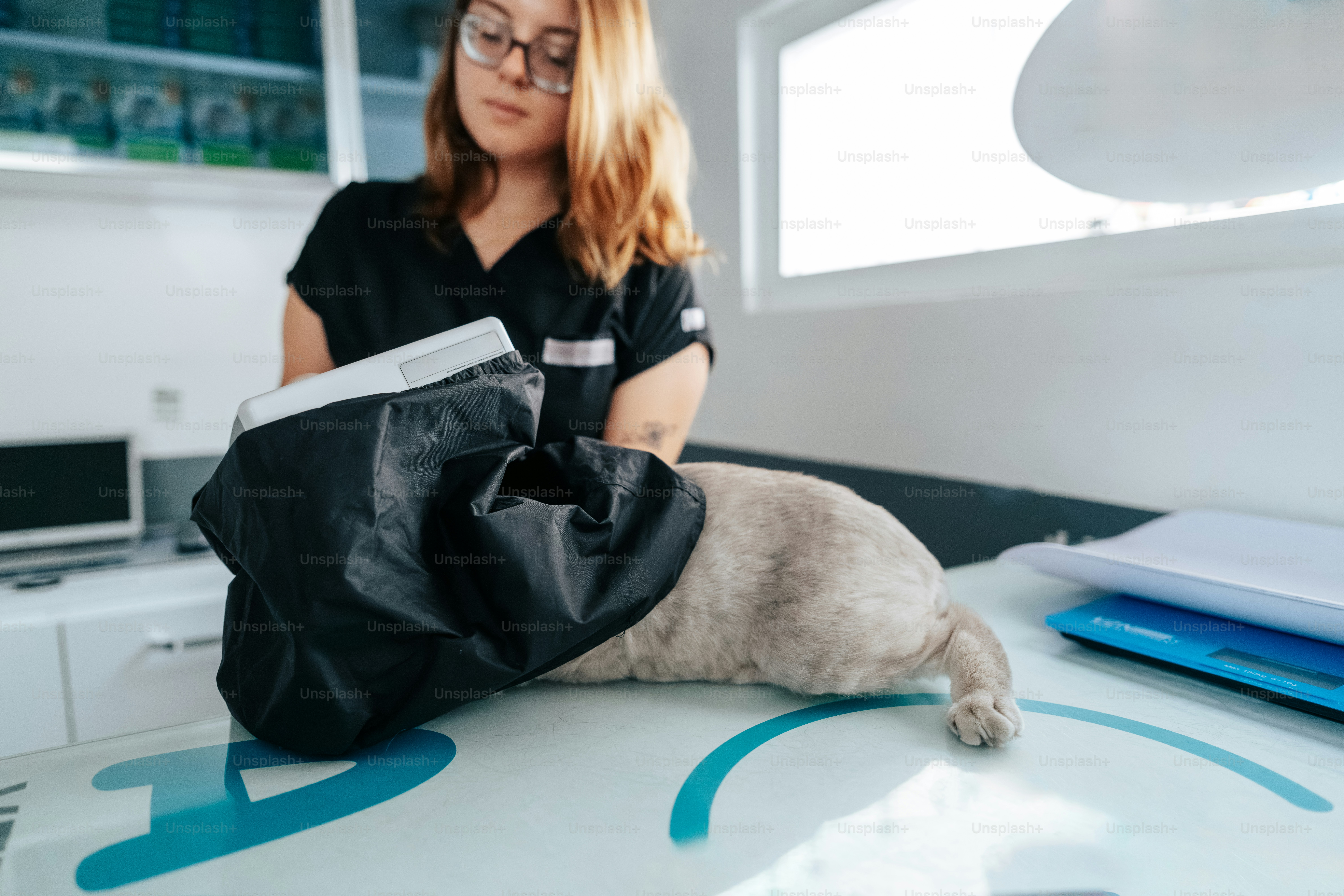 A veterinarian holding a black bag over a cat on a clinic table