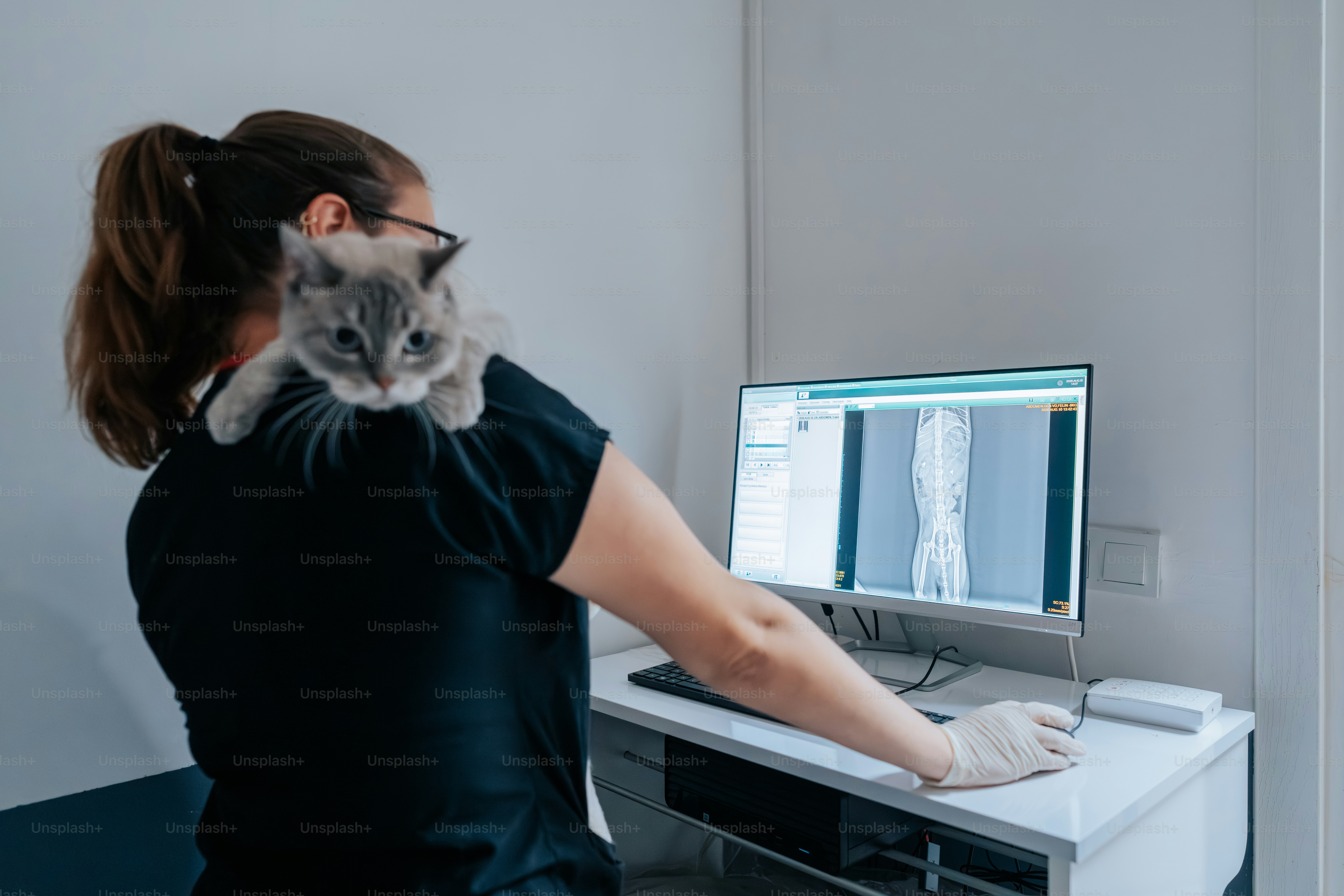 A person with a cat on their shoulder looking at an X-ray on a monitor