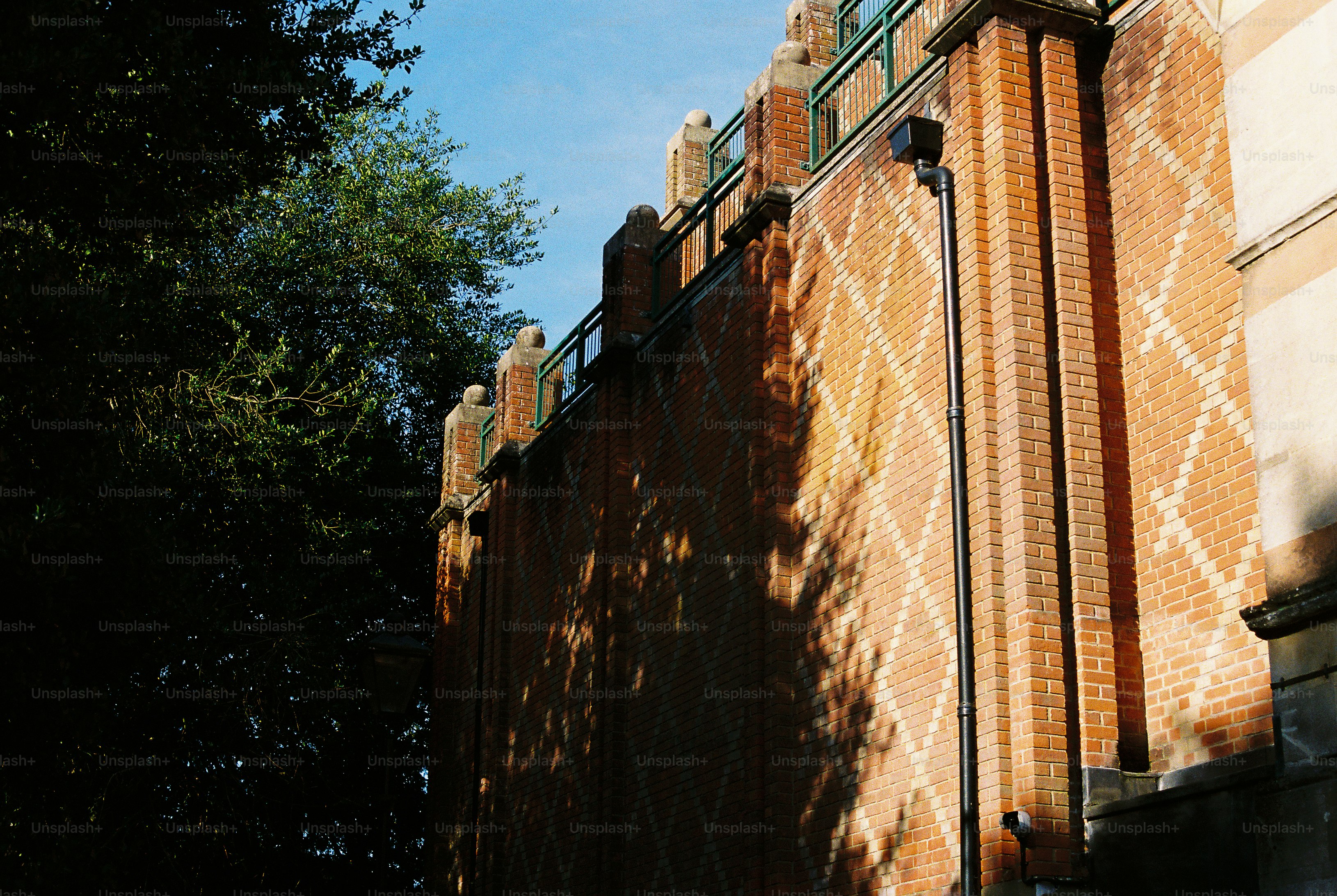 A red brick wall with a diamond pattern and tree shadows in sunlight