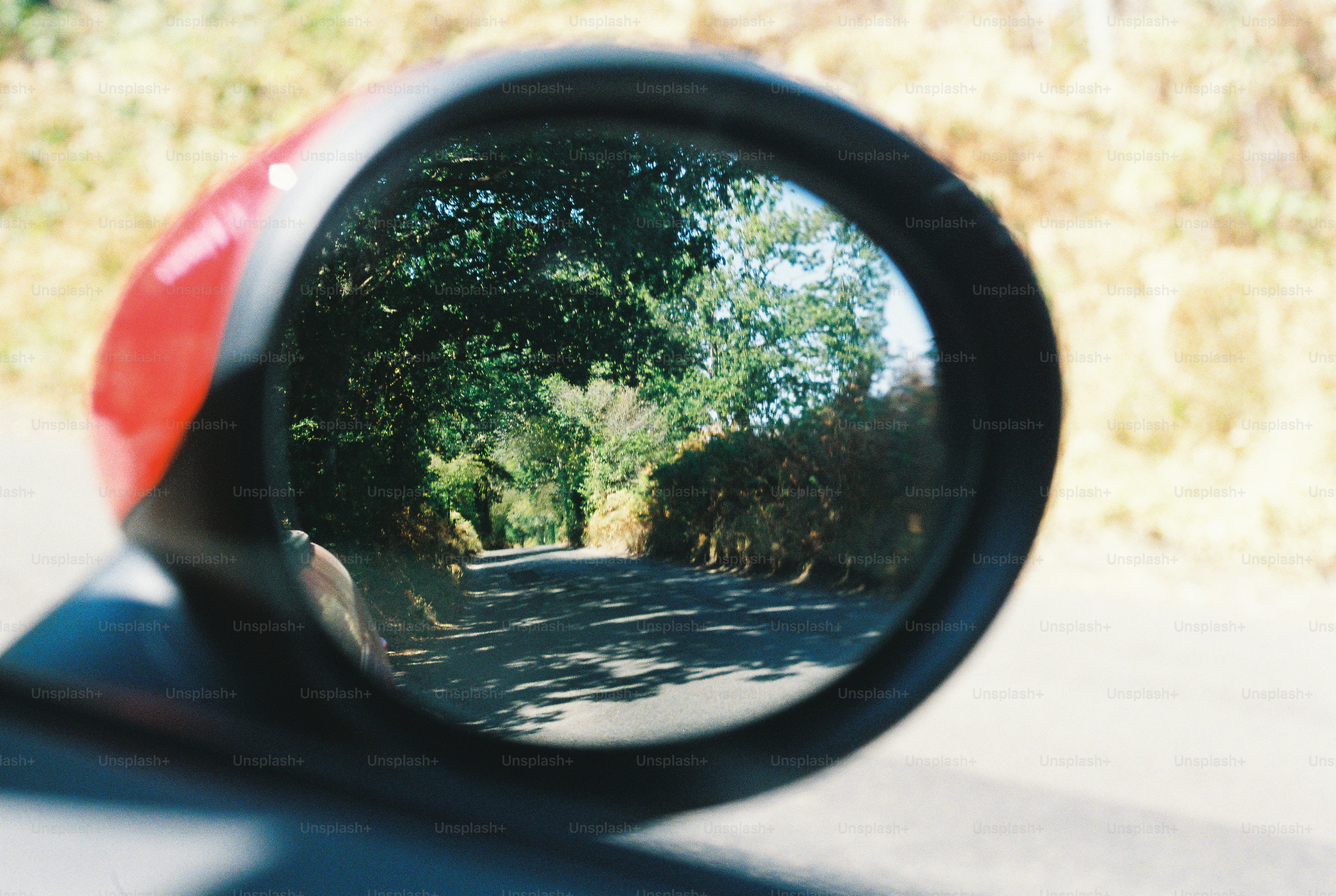 A tree-lined road reflected in a red car side mirror