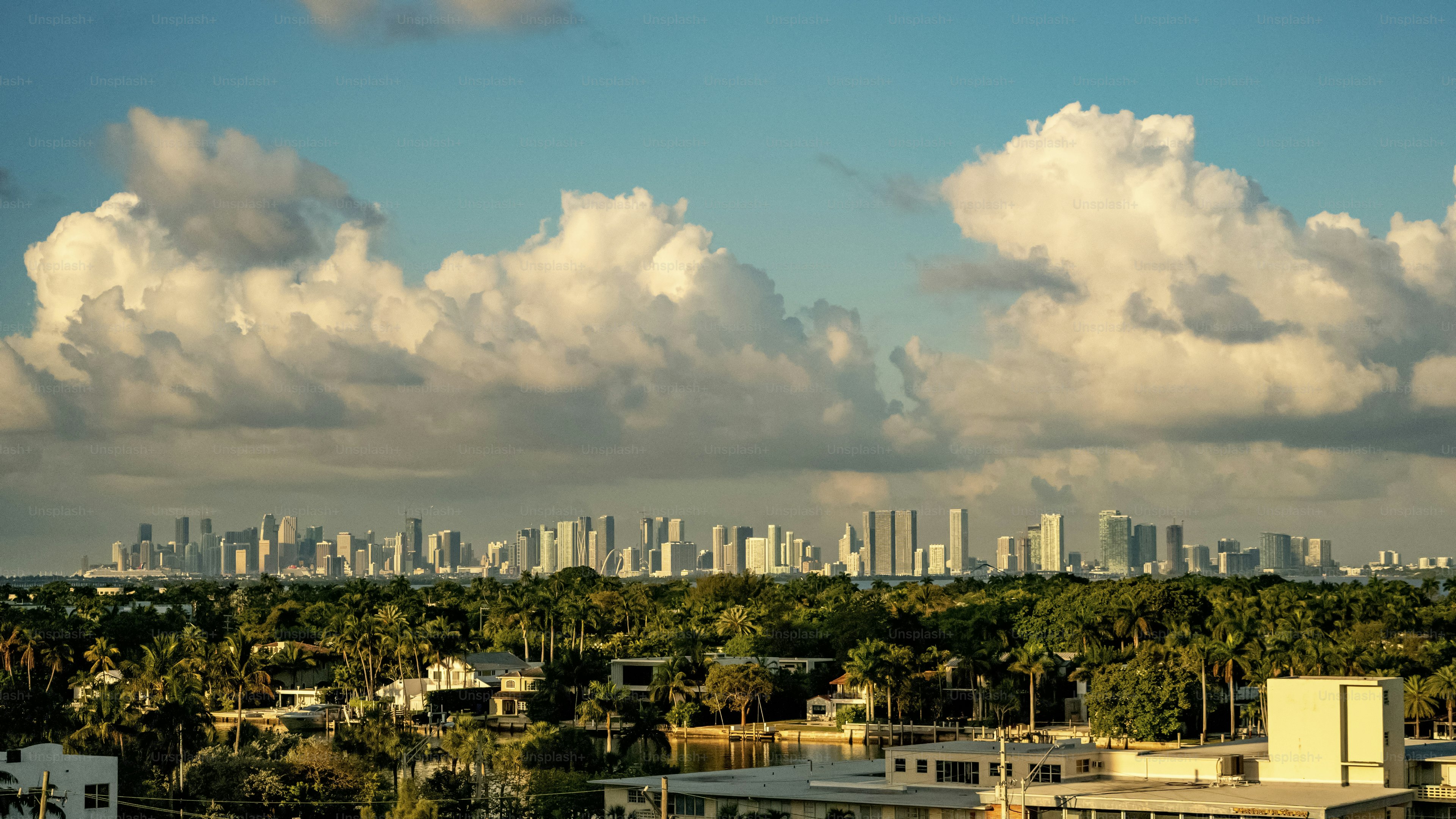 Expansive view of the Miami skyline surrounded by lush greenery and residential buildings. Puffy clouds decorate the sky, creating a picturesque urban and natural landscape. The scene is bathed in warm sunlight.