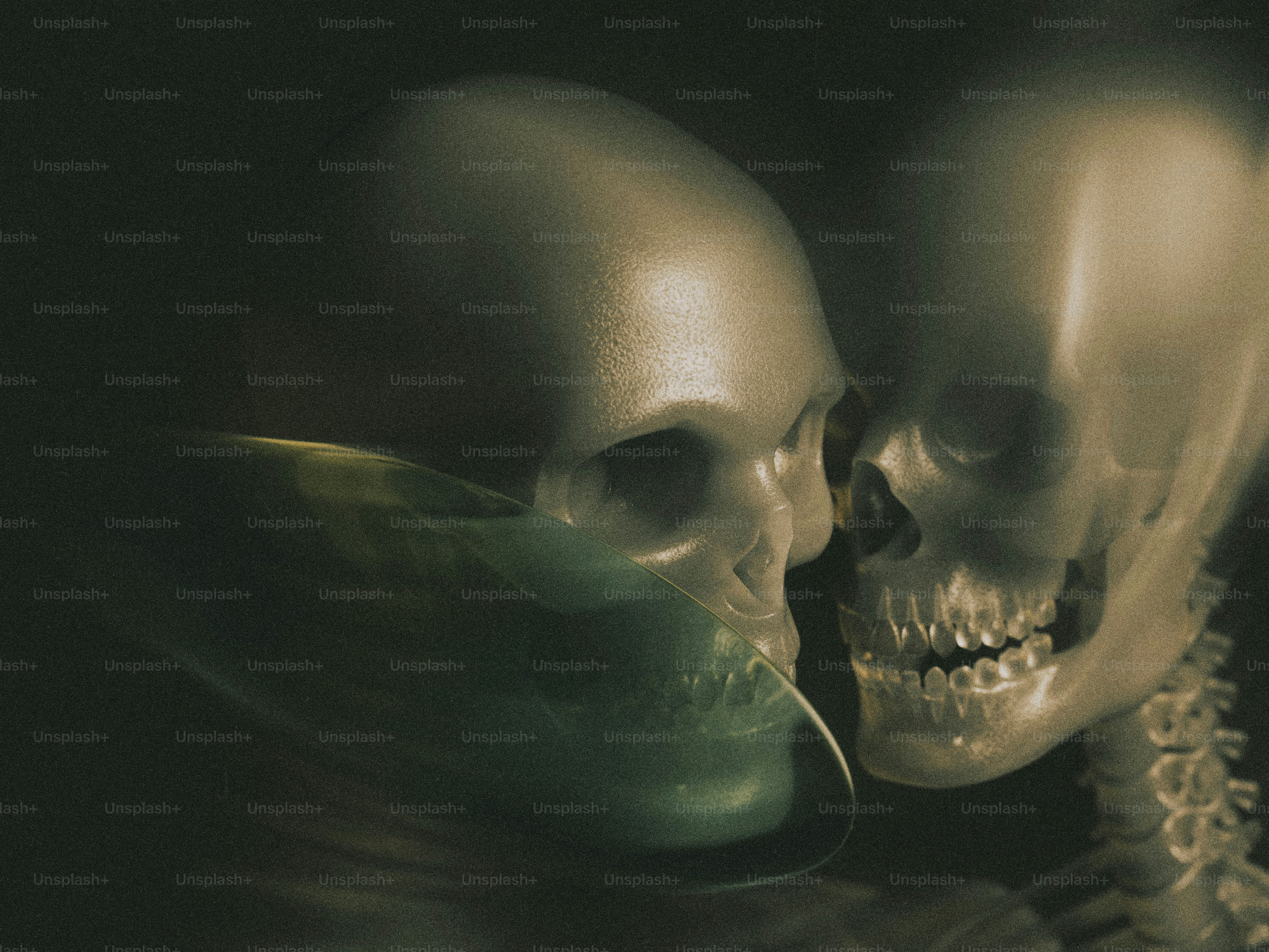A human skull reflected in a curved mirror beside a skeletal figure