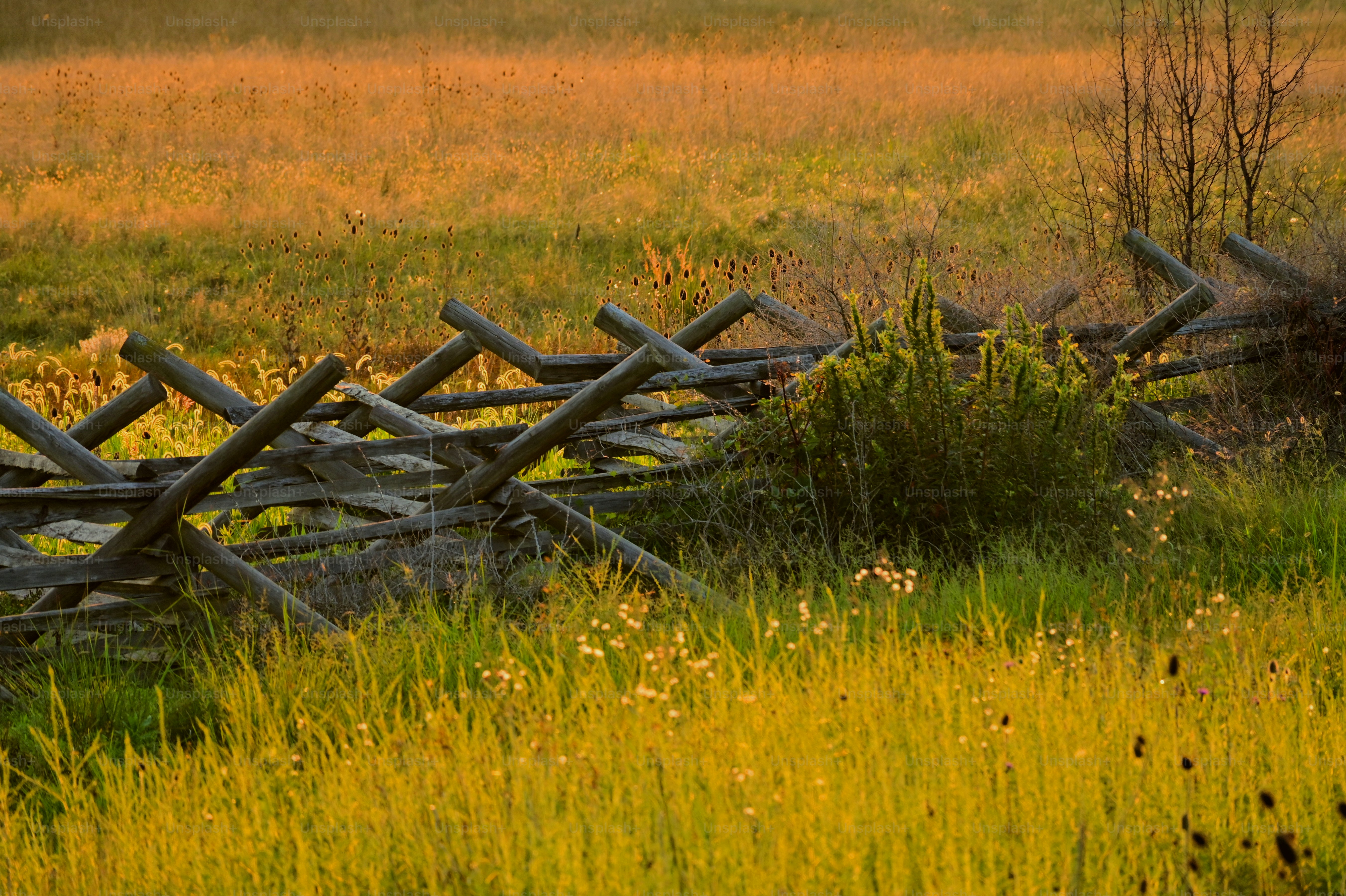 Photos of Gettysburg Battlefield