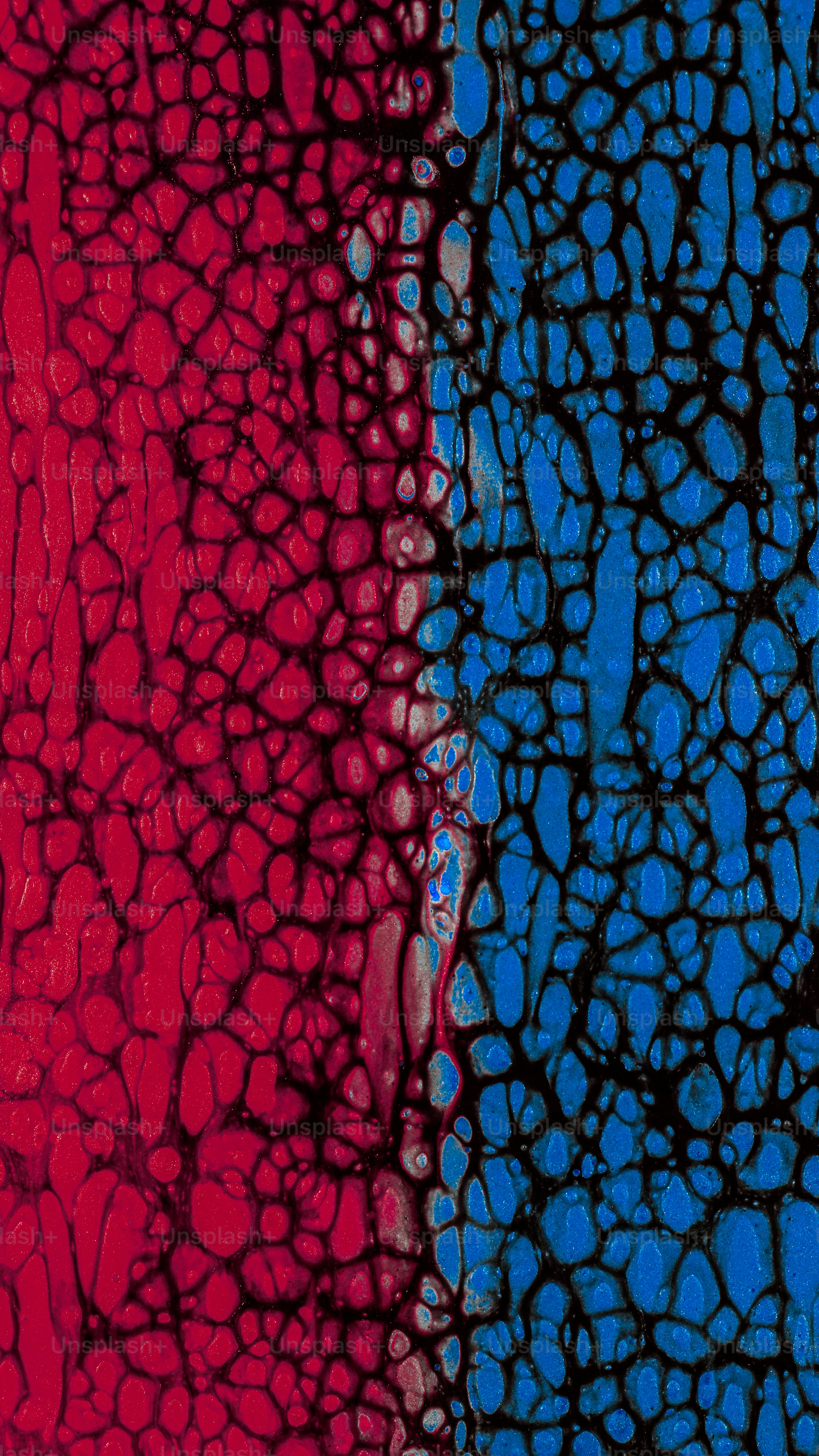 Abstract fluid paint with a red and blue cell pattern separated by black