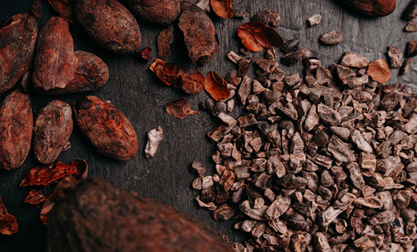 Cacao Nibs