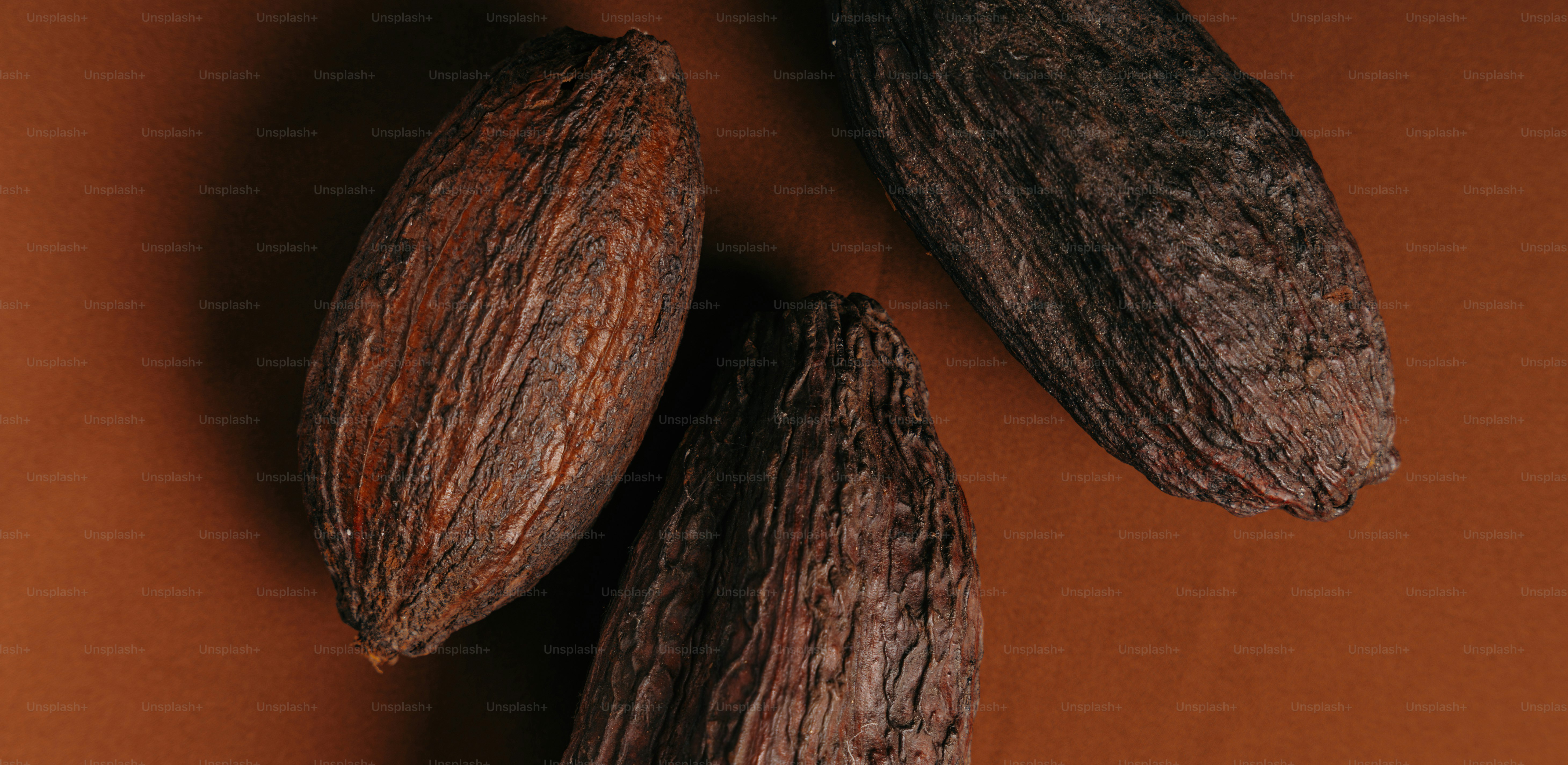 Three dark brown cocoa pods on a matching brown background