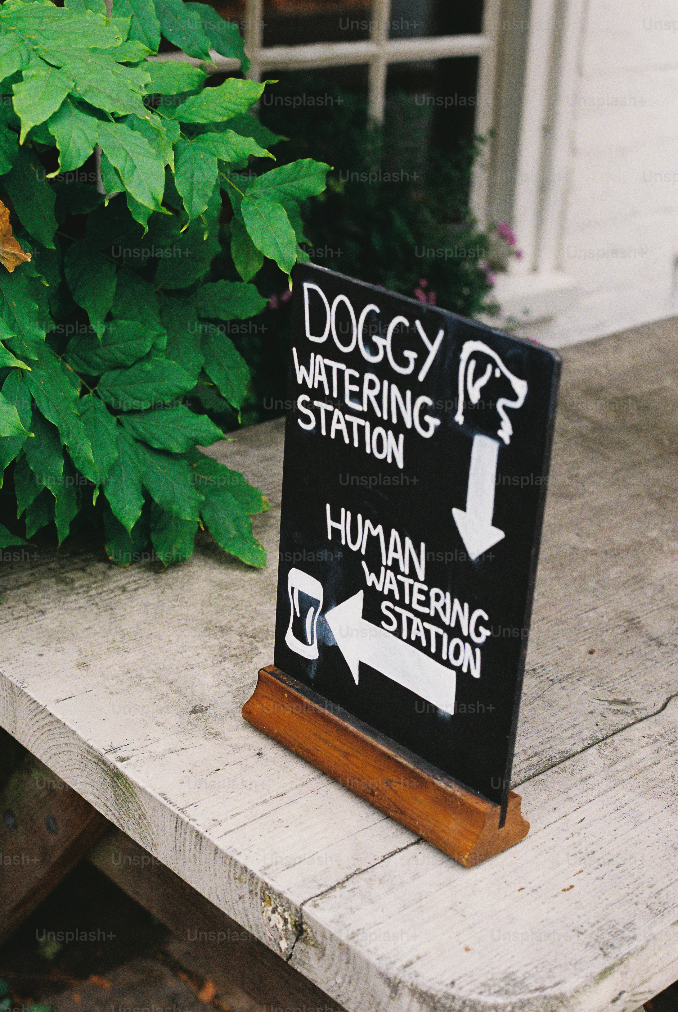 犬と人間の黒板看板 - Unsplash+に収録の写真