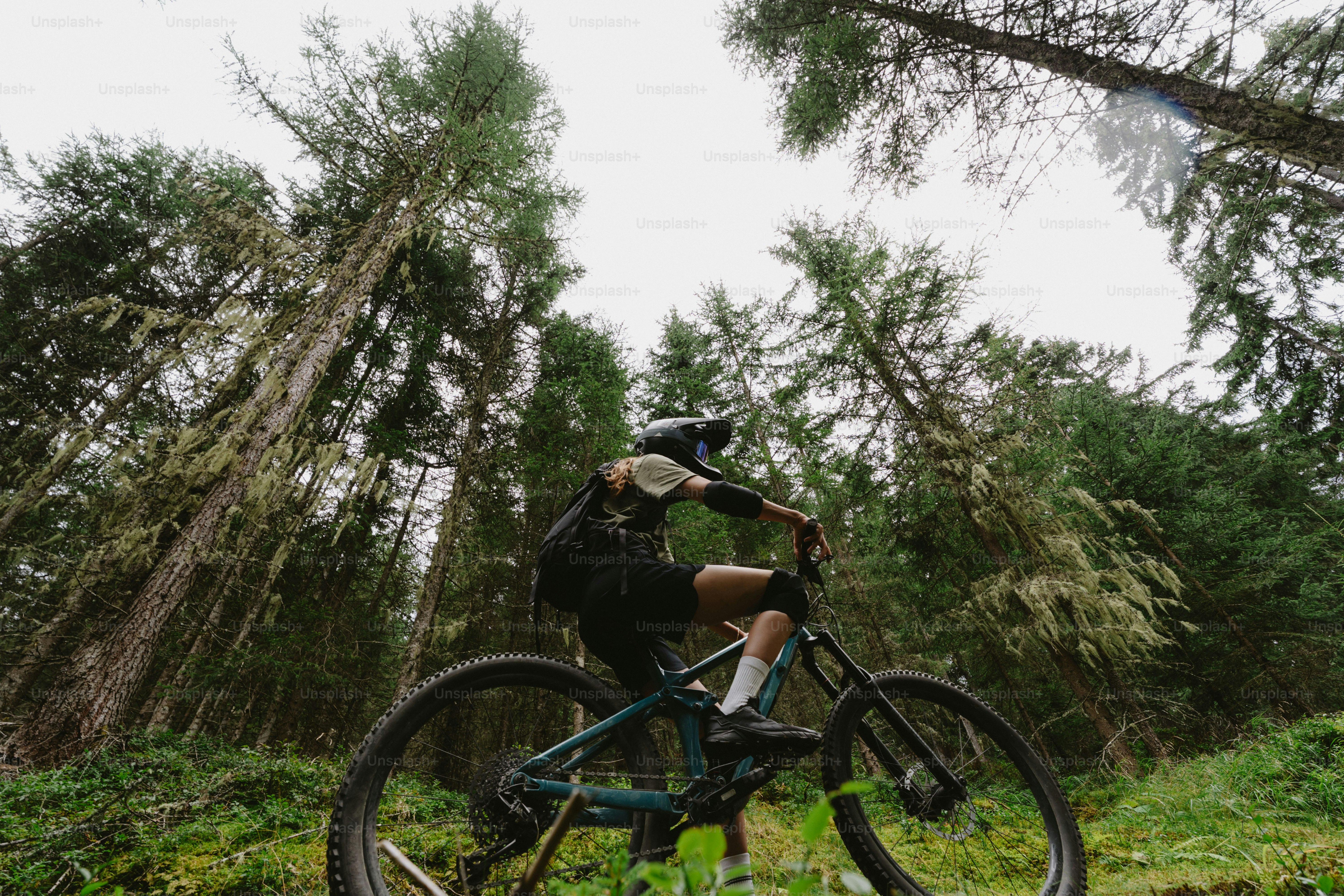 A mountain biker in protective gear riding through a dense forest of tall trees