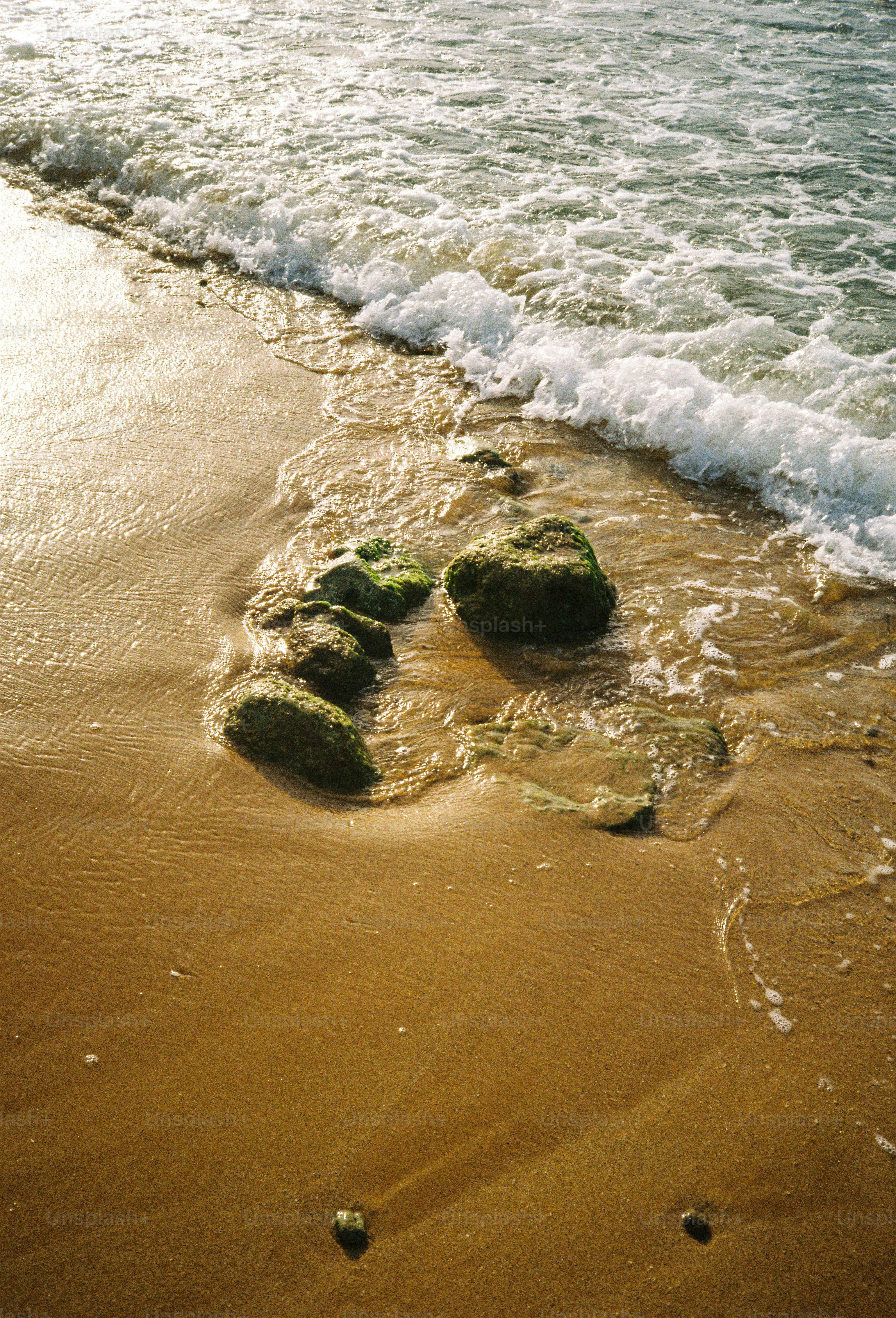 Mossy rocks on a sandy beach with gentle waves washing over them