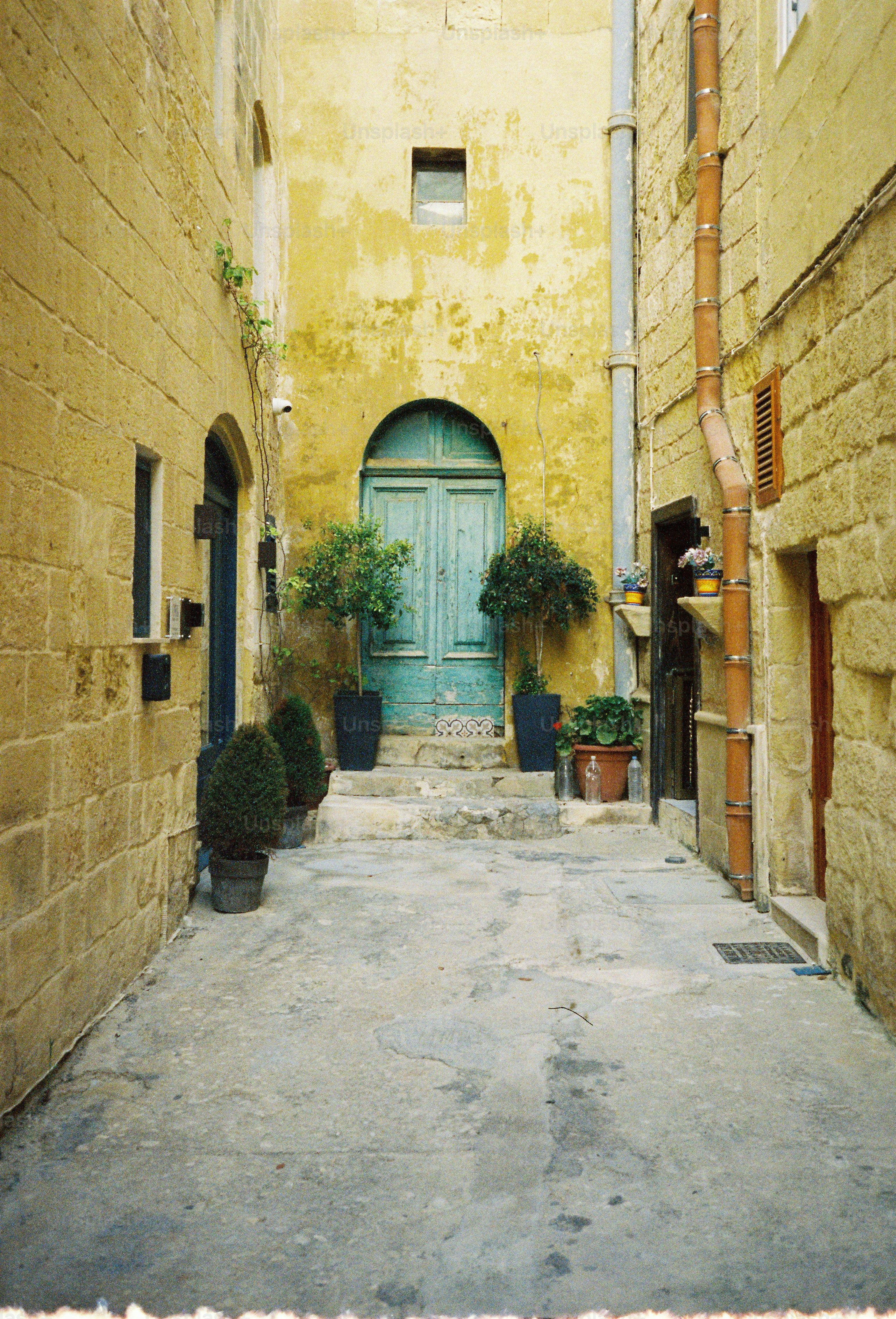 A turquoise arched door between yellow stone walls with potted plants in a courtyard