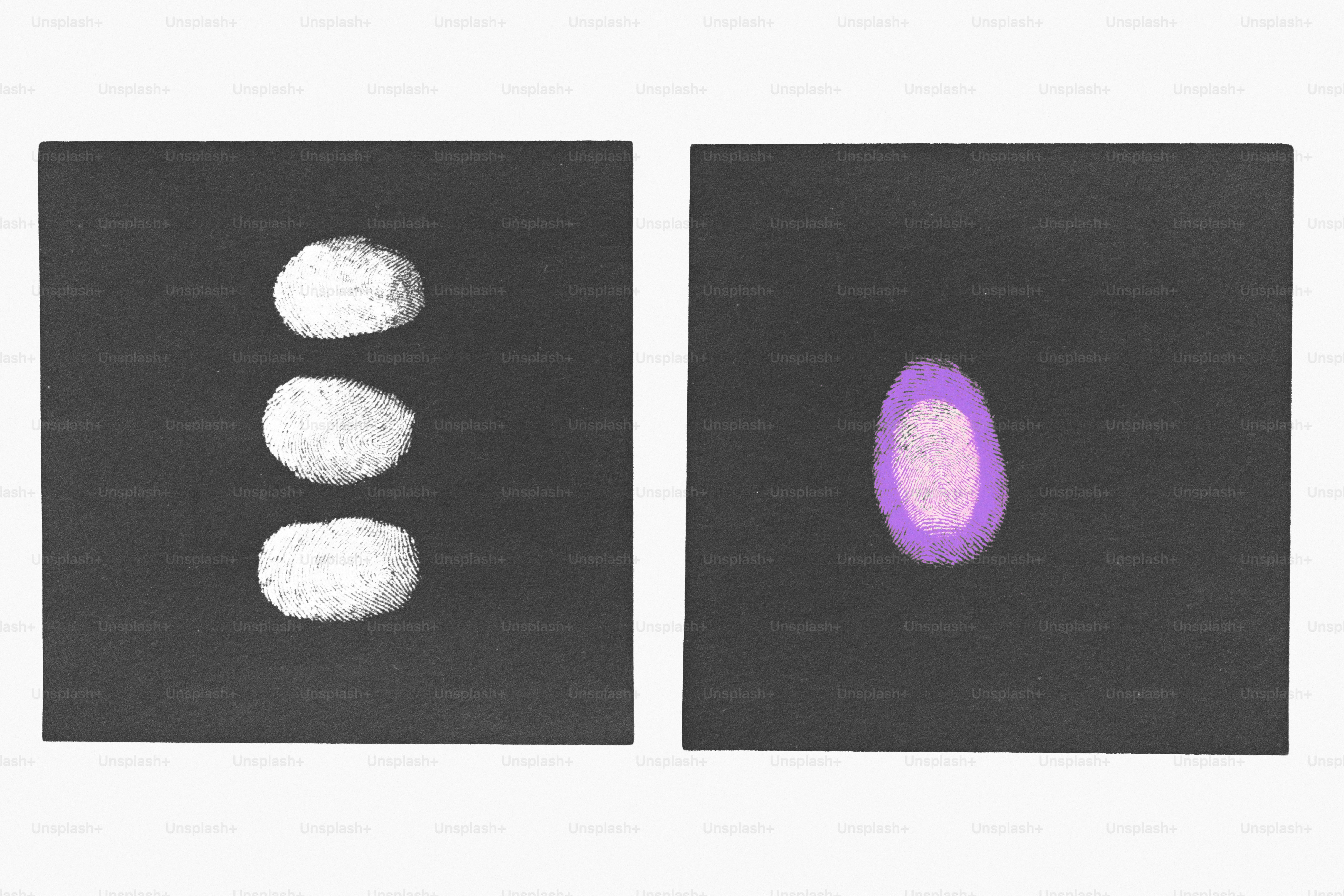 Three white fingerprints in a vertical column beside one purple fingerprint on black squares